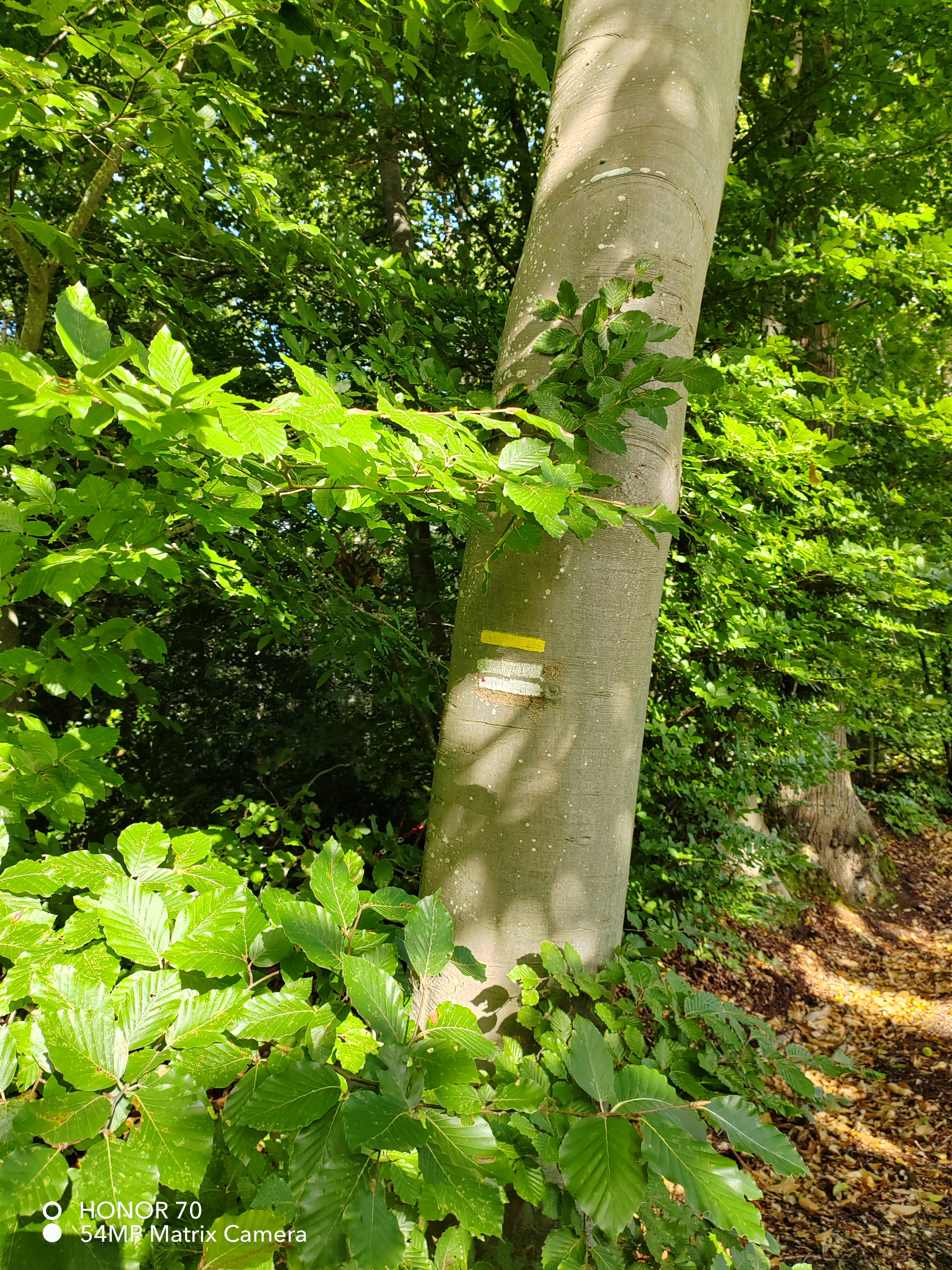 pBonjourppbrppJe-vous-propose-à-nouveau-un-comparatif-photo-entre-le
