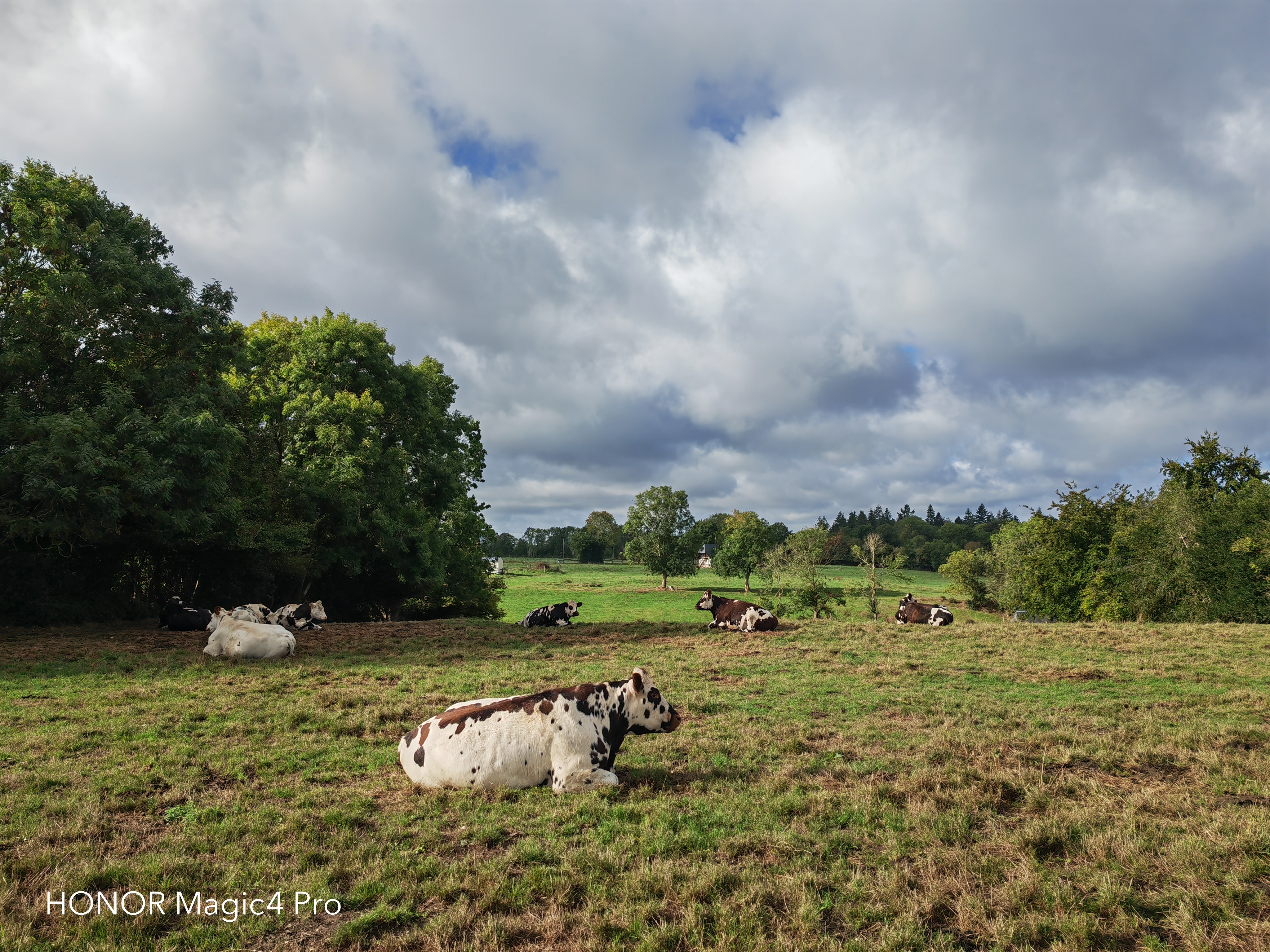 pBonjourppbrppJe-vous-propose-à-nouveau-un-comparatif-photo-entre-le