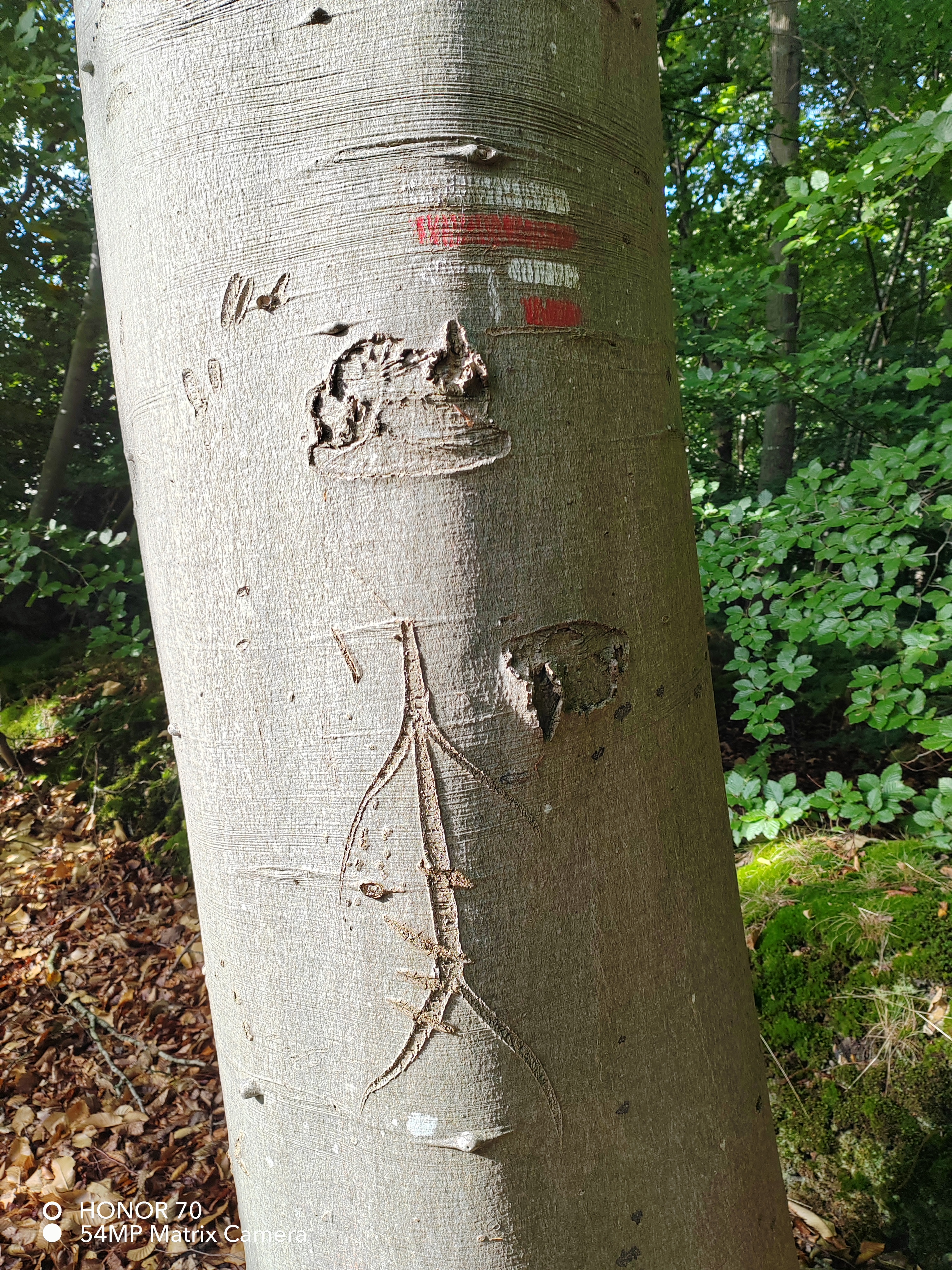 pBonjourppbrppJe-vous-propose-à-nouveau-un-comparatif-photo-entre-le