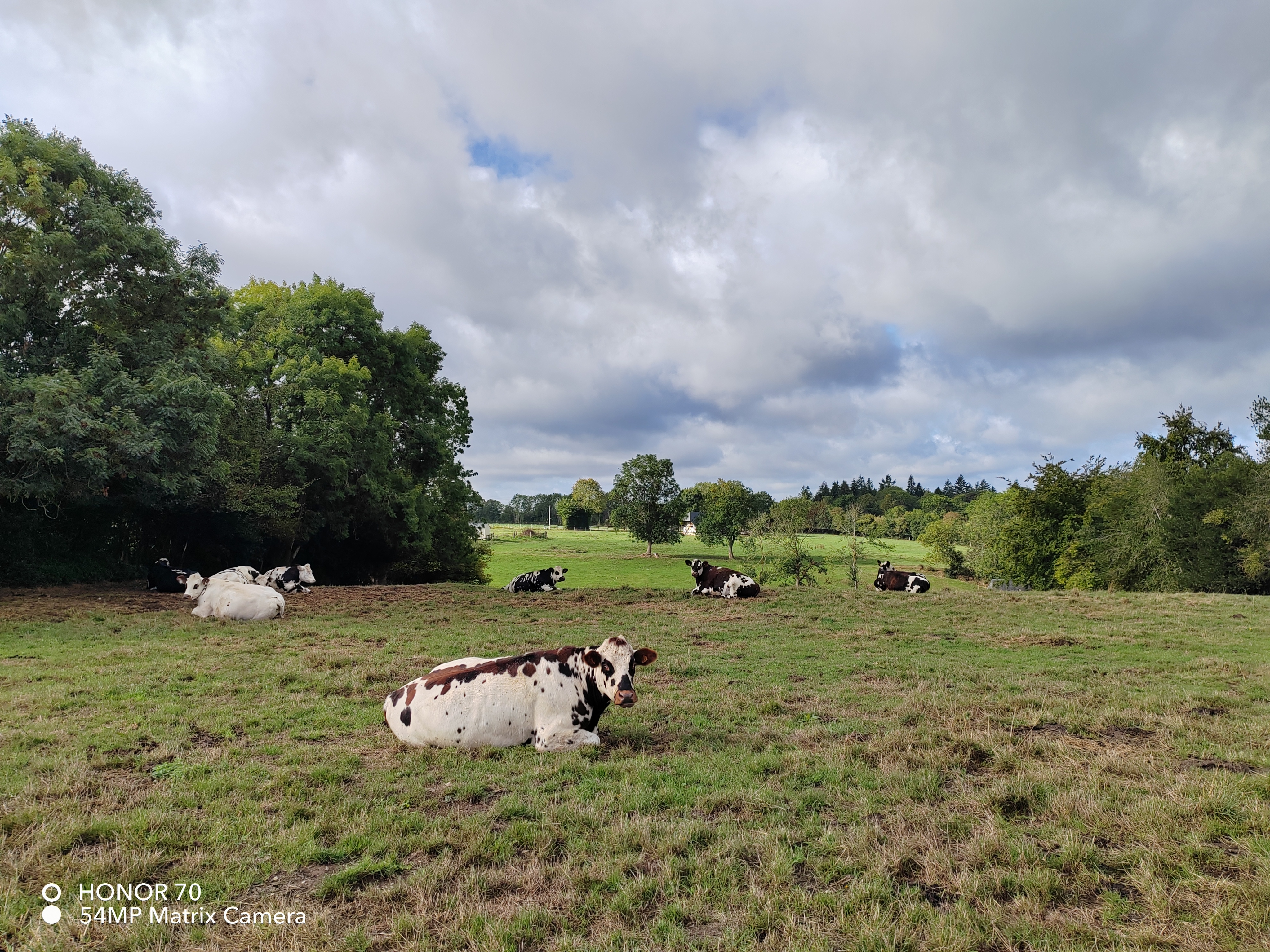pBonjourppbrppJe-vous-propose-à-nouveau-un-comparatif-photo-entre-le