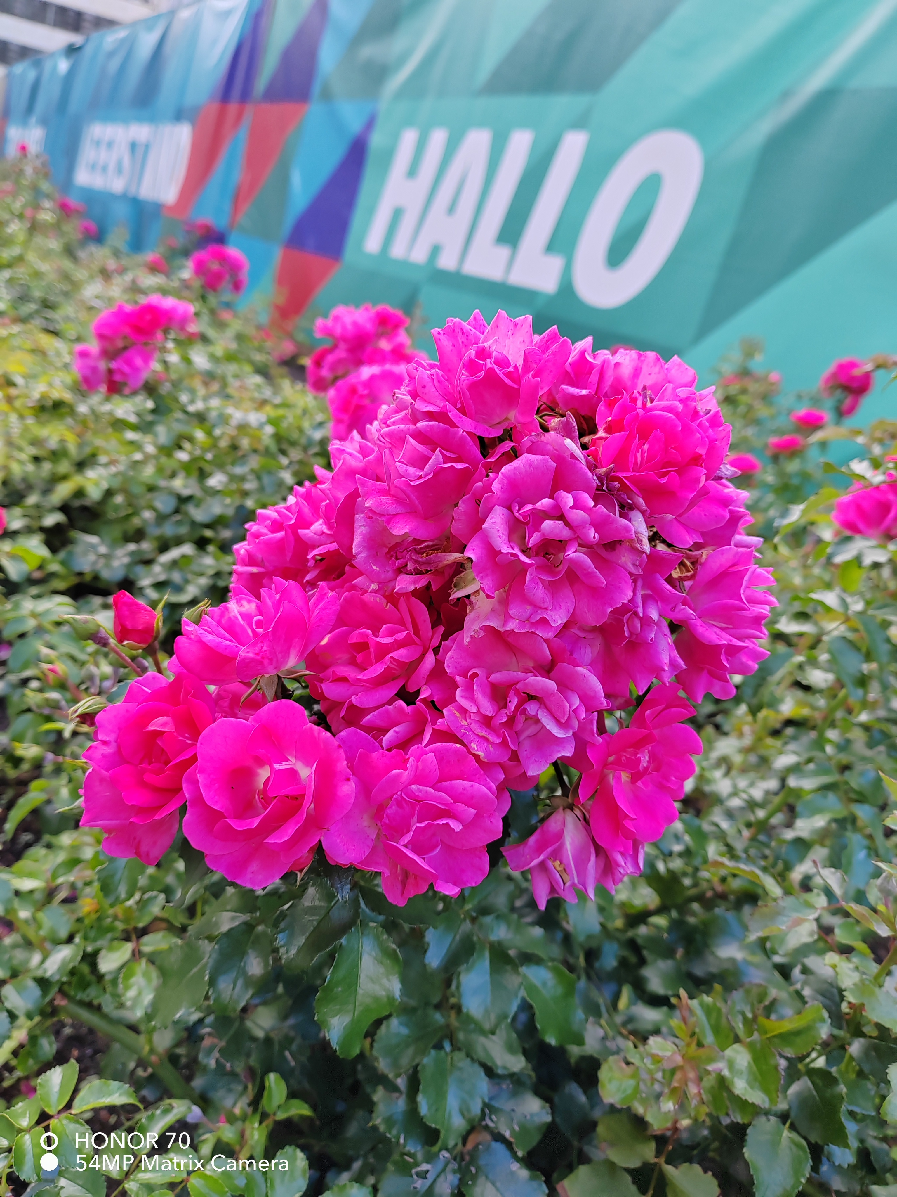 pHello-la-communautéppspan-styleletter-spacing-009pxJutilise-depuis-1