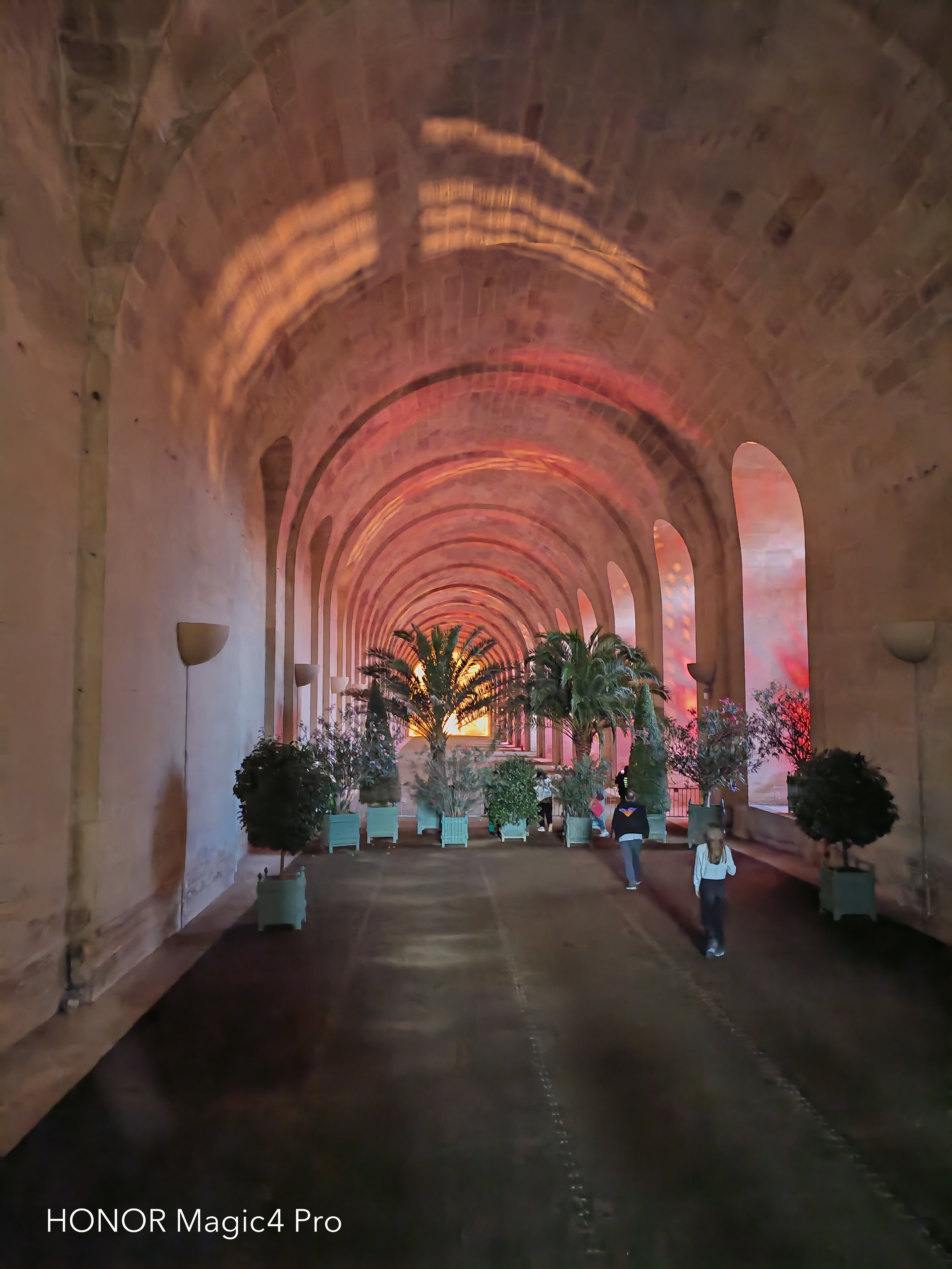 pBonjourppbrppAujourdhui-je-vous-propose-une-comparaison-des-photos