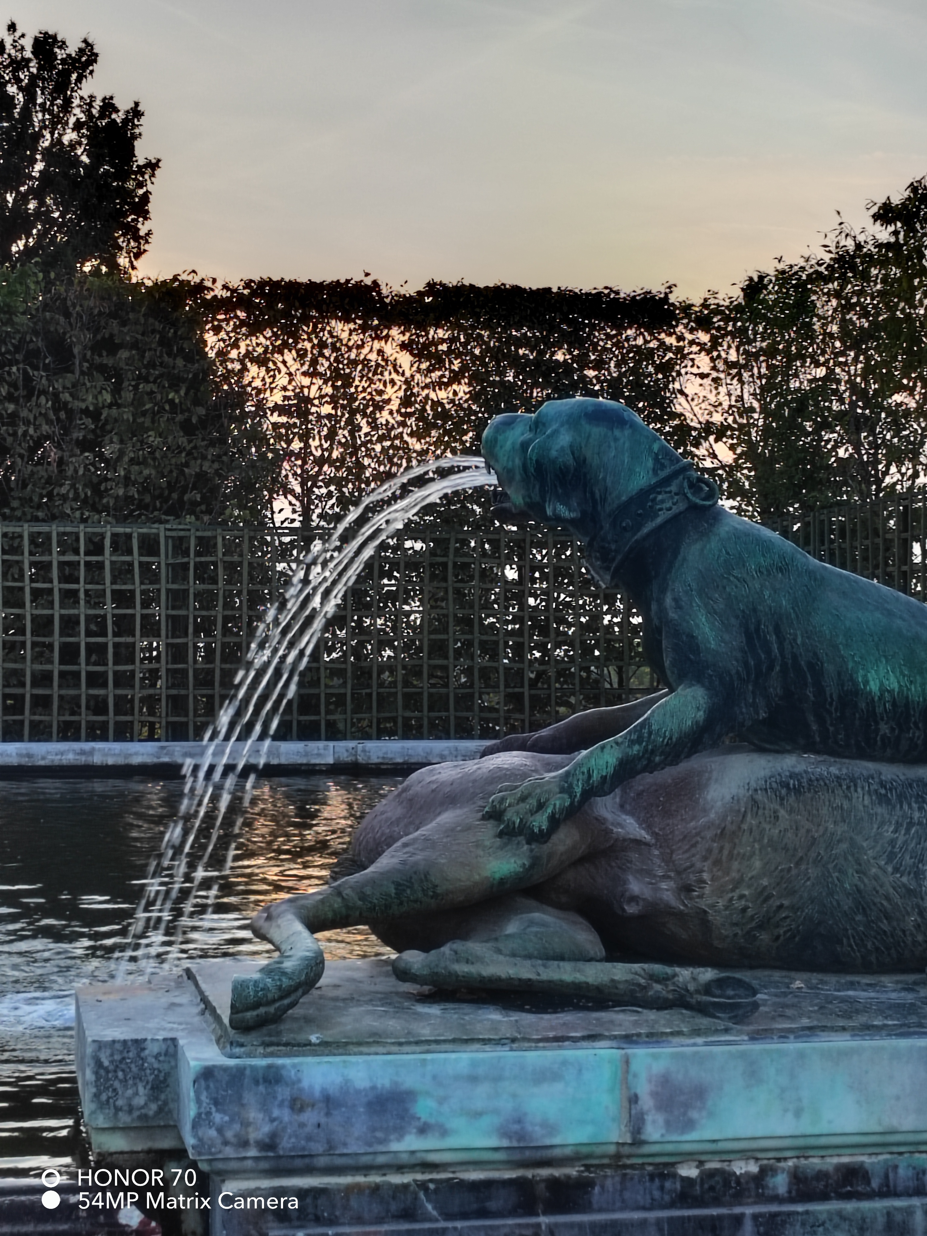 pBonjourppbrppAujourdhui-je-vous-propose-une-comparaison-des-photos