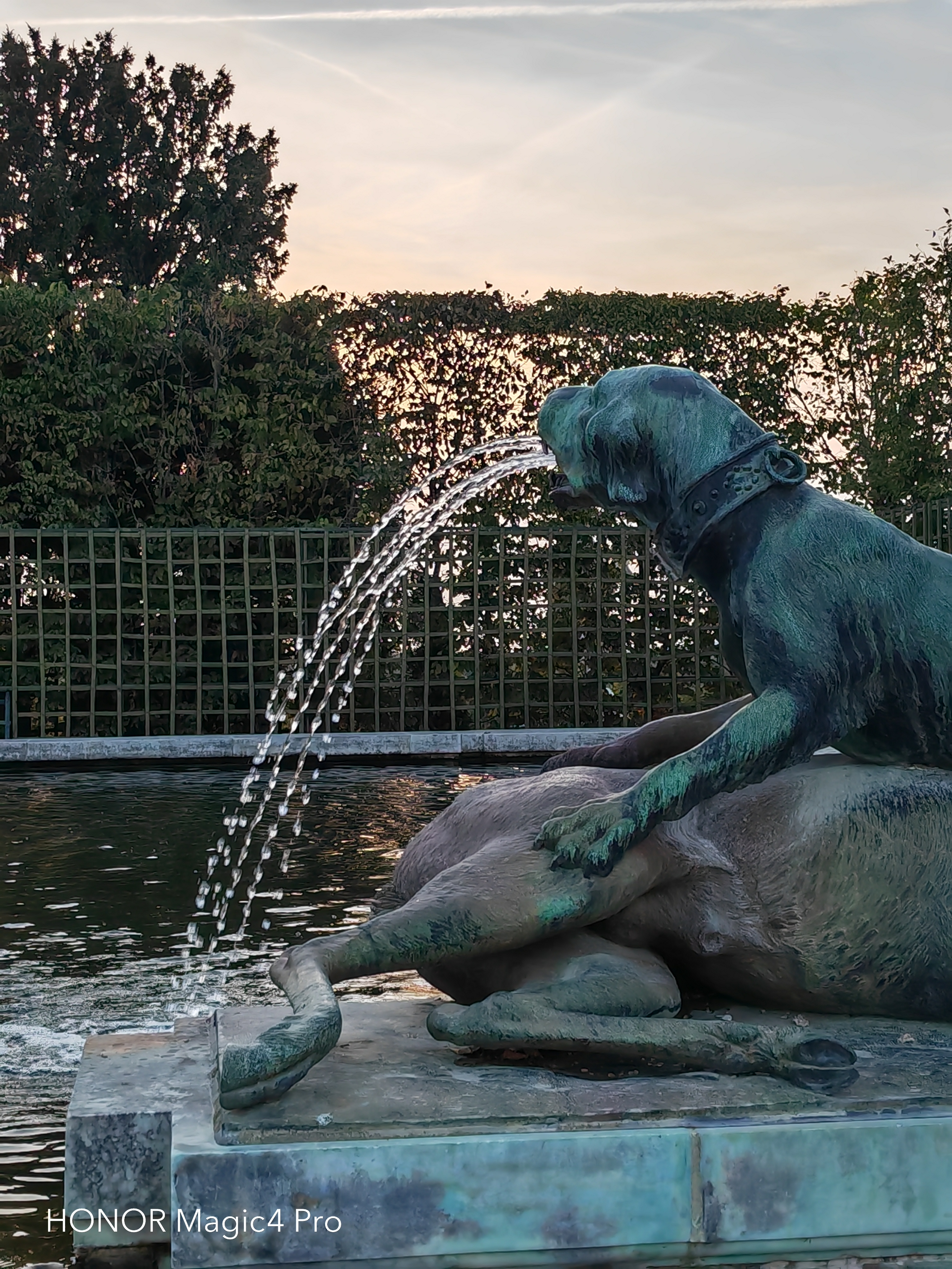 pBonjourppbrppAujourdhui-je-vous-propose-une-comparaison-des-photos