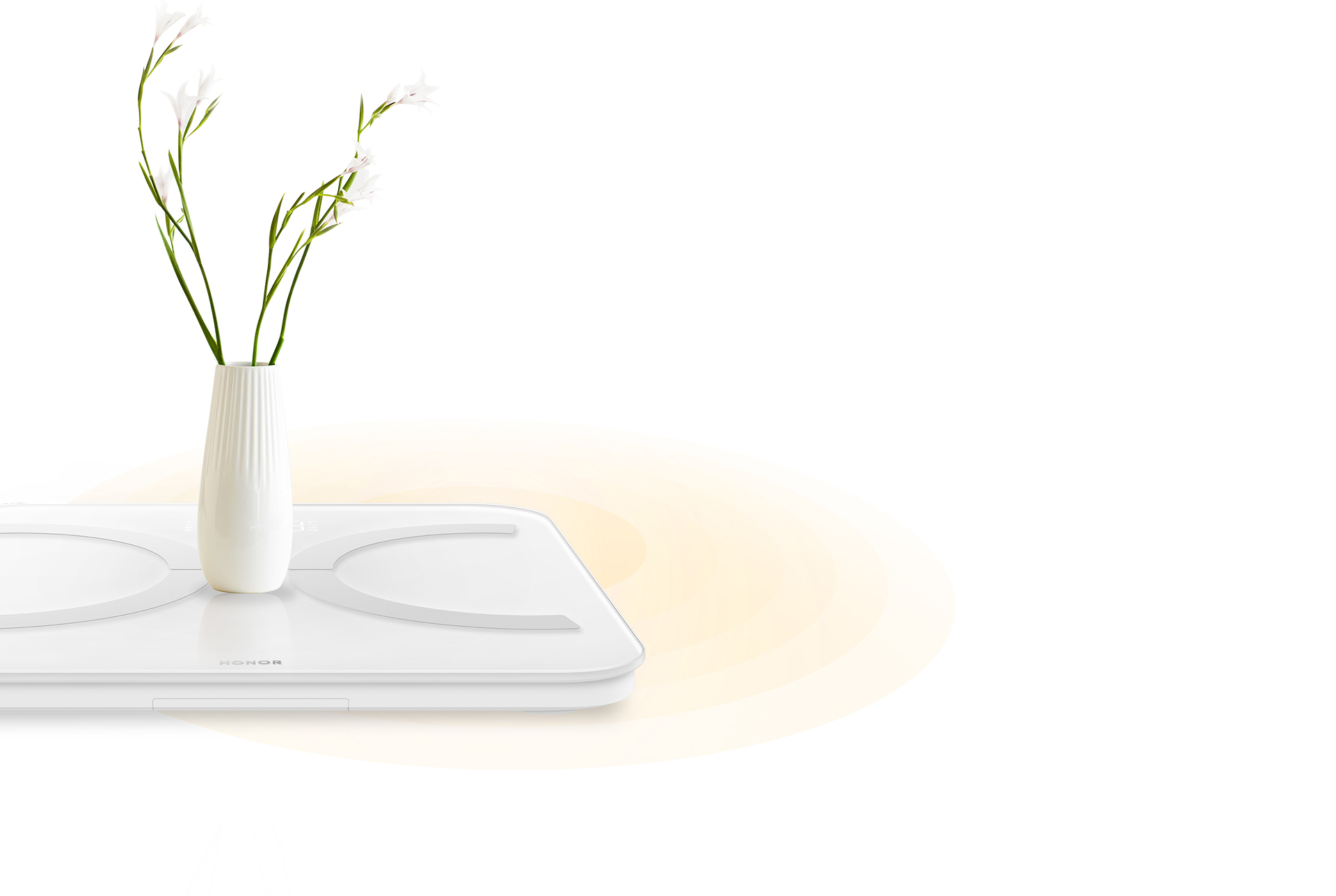 pspan-stylefont-size18pxBonjour-à-tous-lesstrong-fans-dHONORstrong