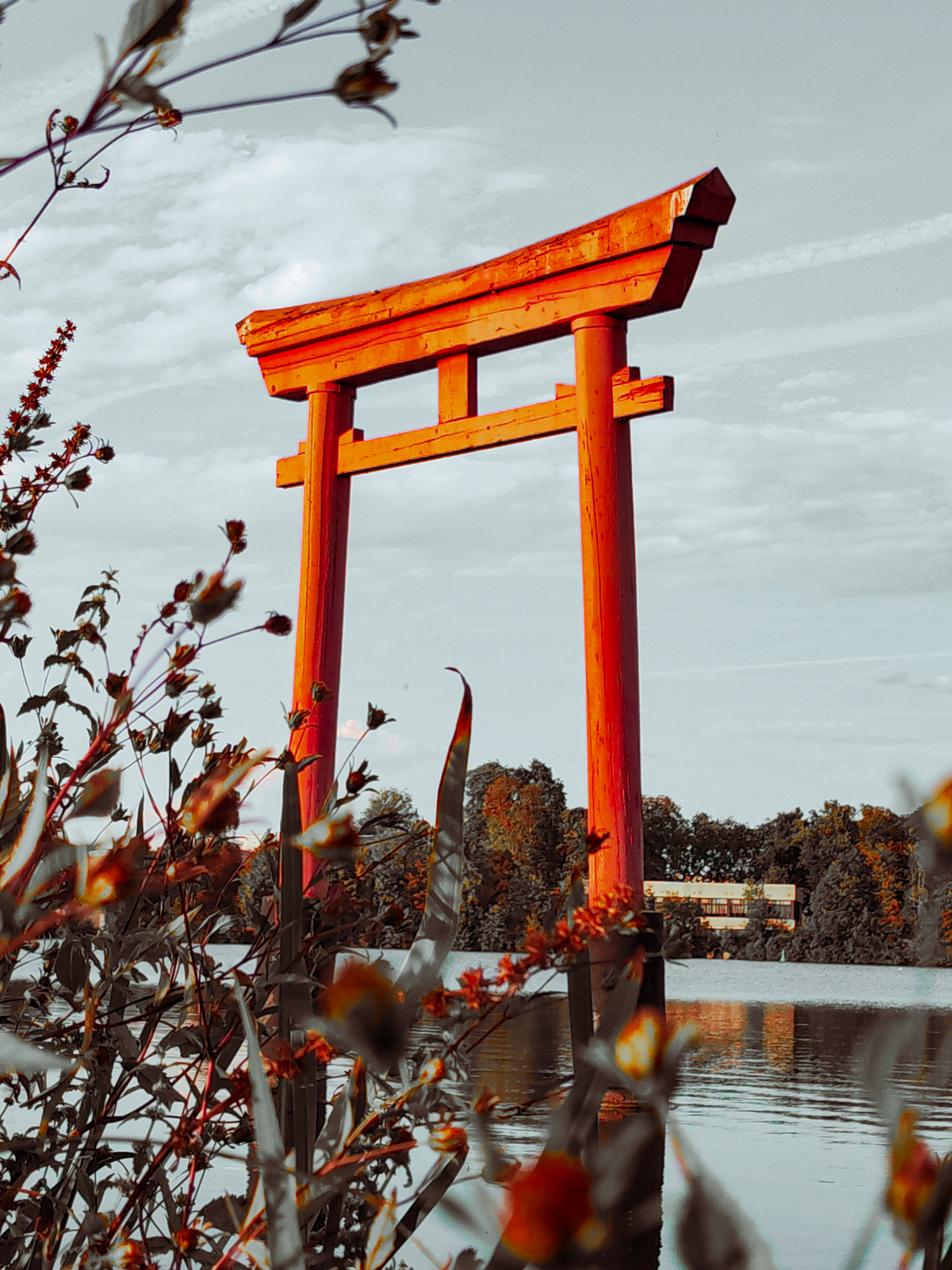 pimg-srchttpsiforum-dechihonorcomfrdataimages10000202321595683c4f-59bb