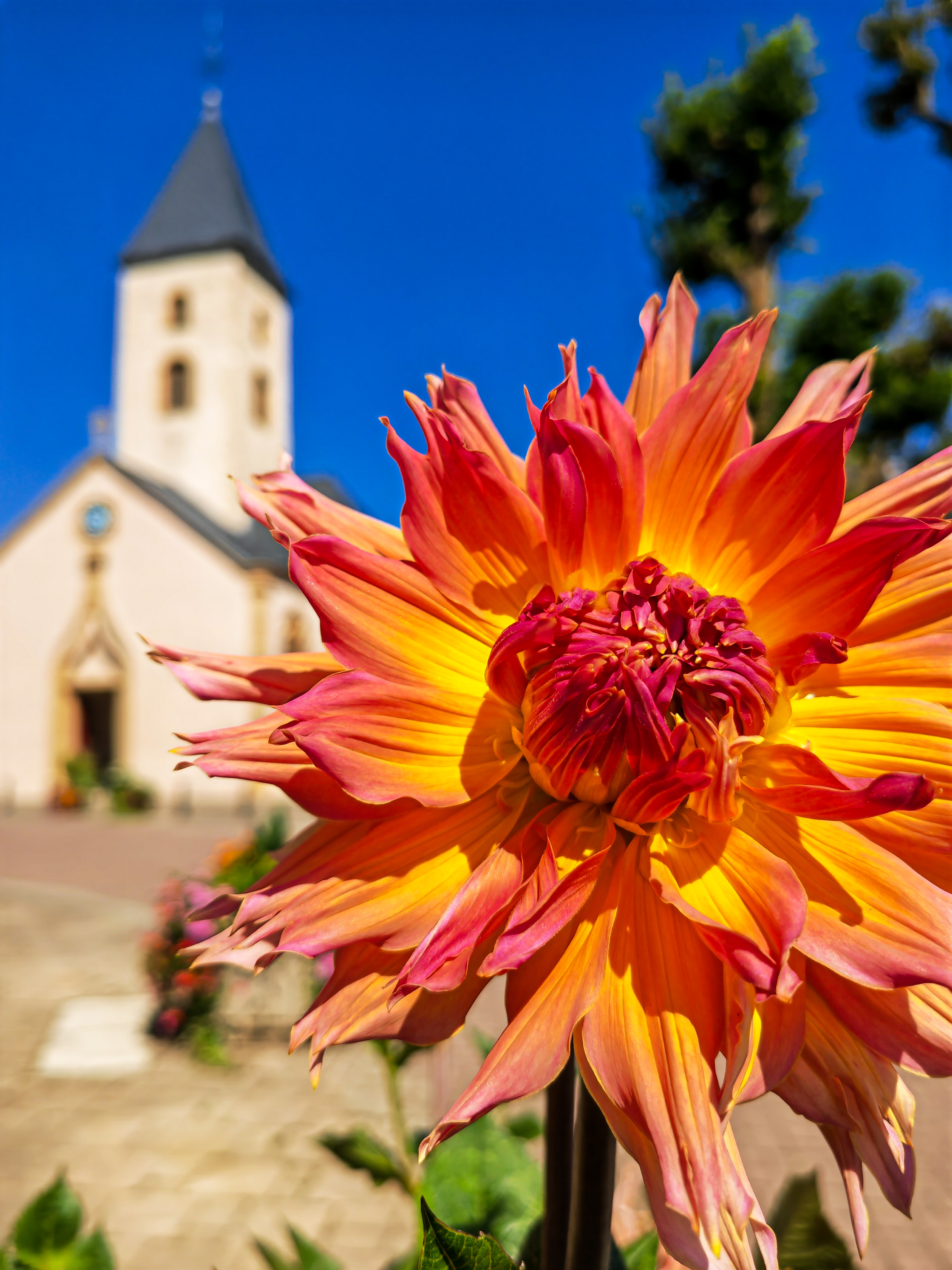 pimg-srchttpsiforum-dechihonorcomfrdataimages10000202321595683c4f-59bb