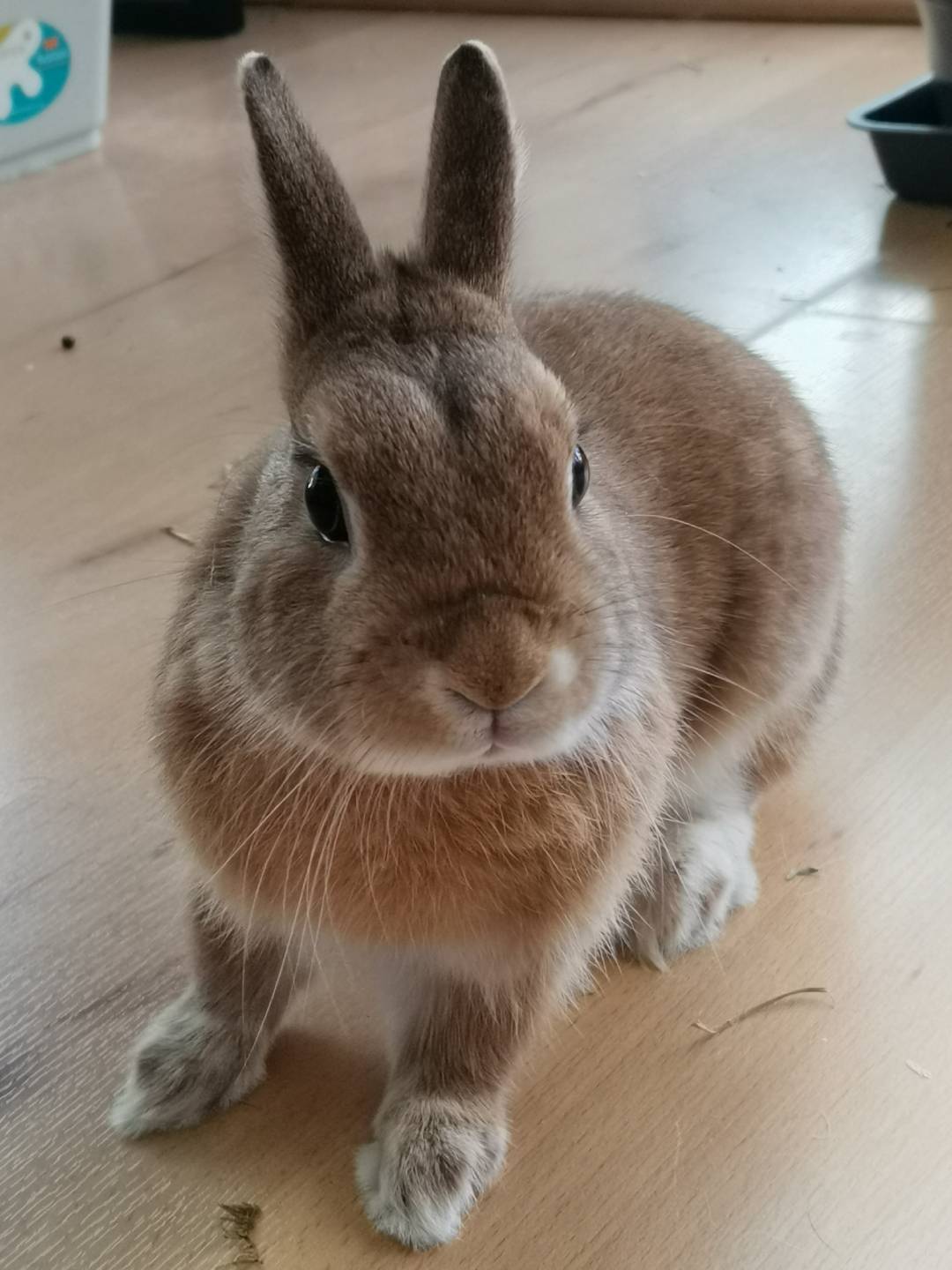 pspanBonjour-HONOR-fans-voici-la-collection-des-photos-de-la-semaine