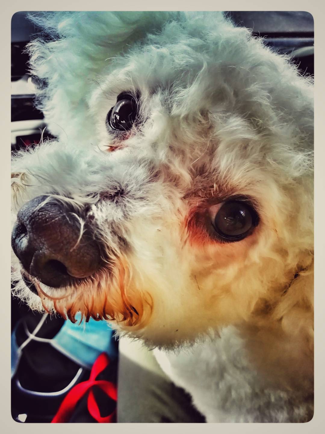 pspanBonjour-HONOR-fans-voici-la-collection-des-photos-de-la-semaine