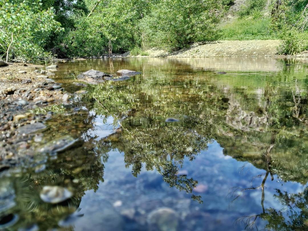 pspanBonjour-HONOR-fans-voici-la-collection-des-photos-de-la-semaine