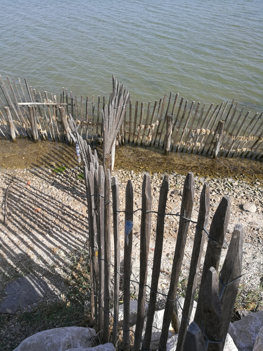 HONOR-8-Le-smartphone-du-quotidien