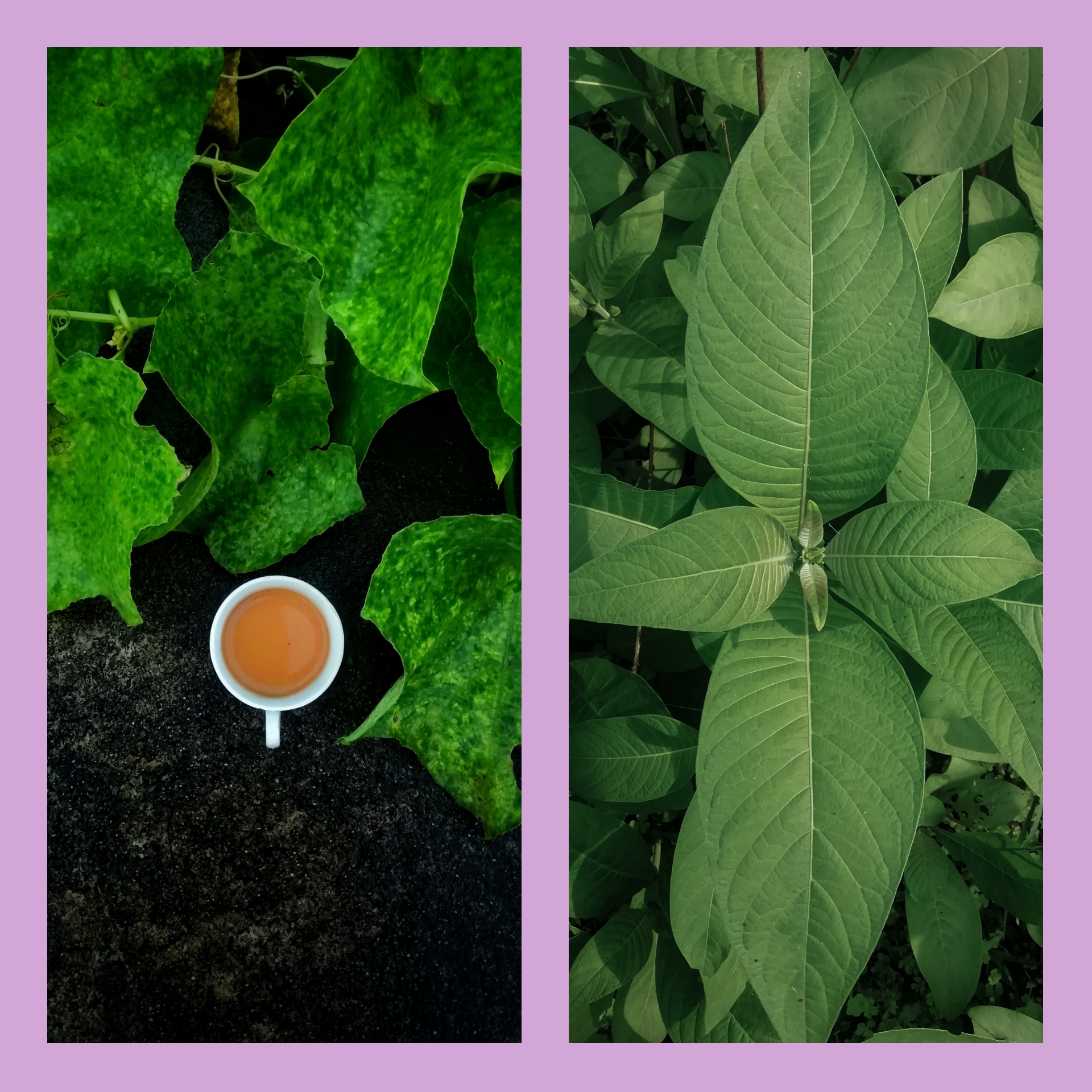 pspan-stylefont-size16pxHello-les-fans-spanppspan-stylefont