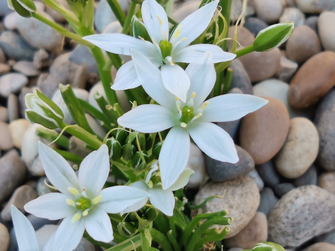 Luminositénbspécrannbsp