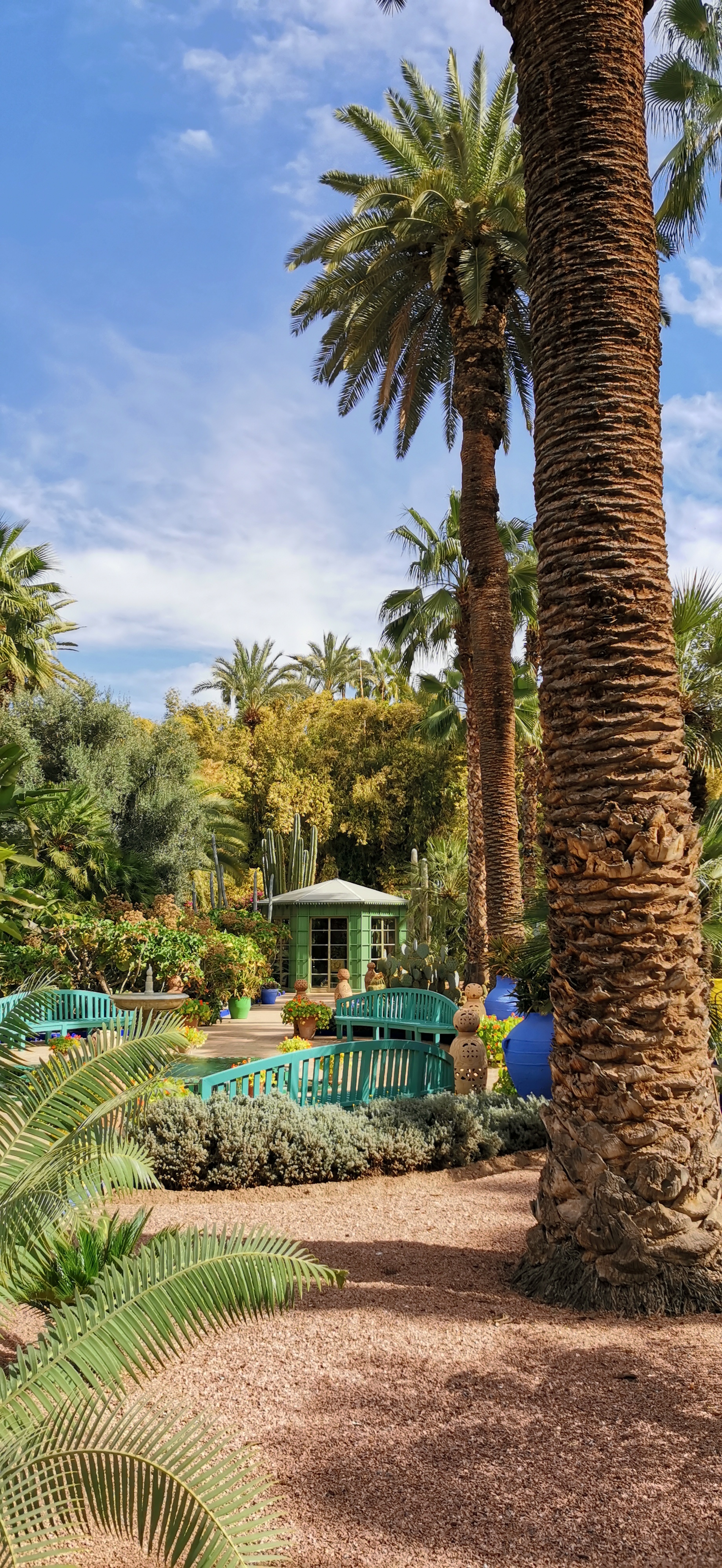 Le-Honor-20-Pro-à-Marrakech-