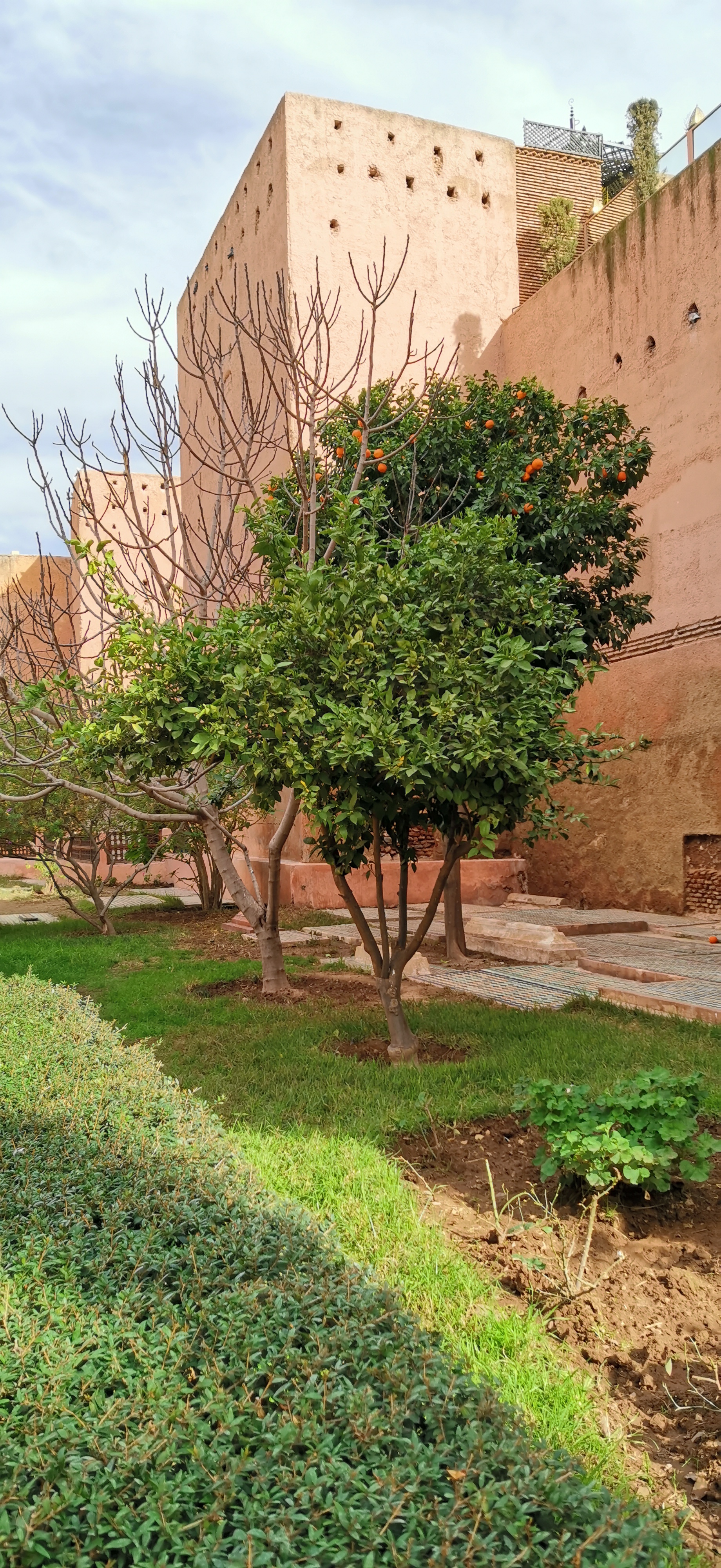 Le-Honor-20-Pro-à-Marrakech-