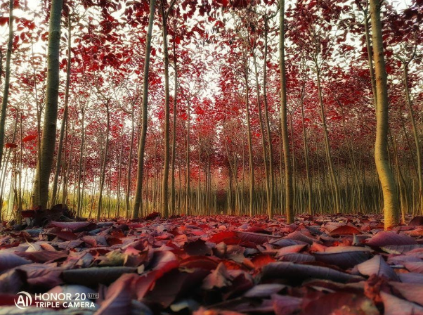 Guide-dachat-Ne-manquez-pas-ces-meilleures-offres-Jusquà-50-de