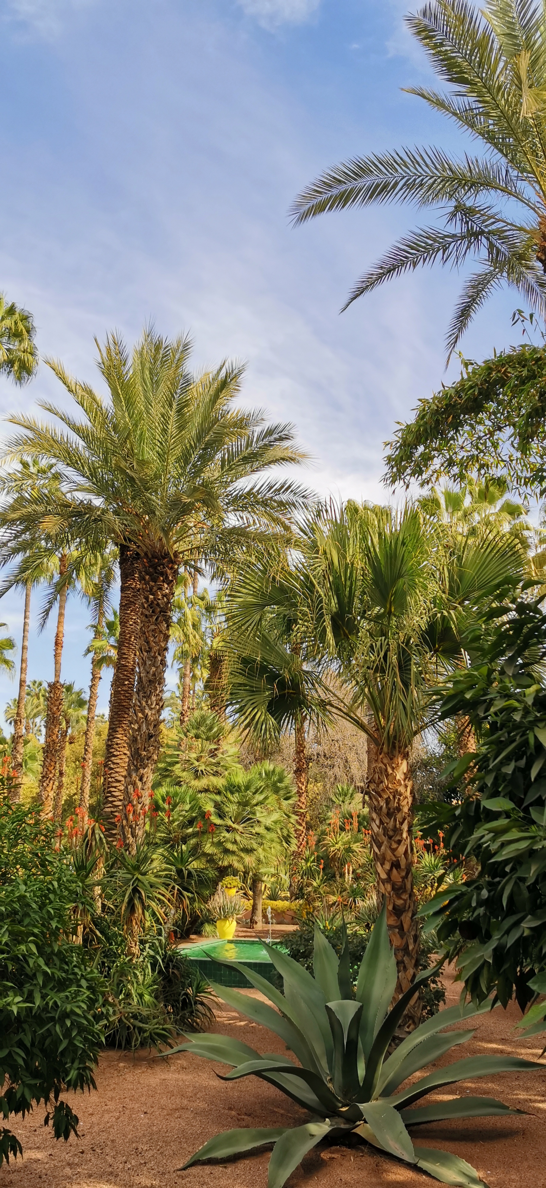 Le-Honor-20-Pro-à-Marrakech-