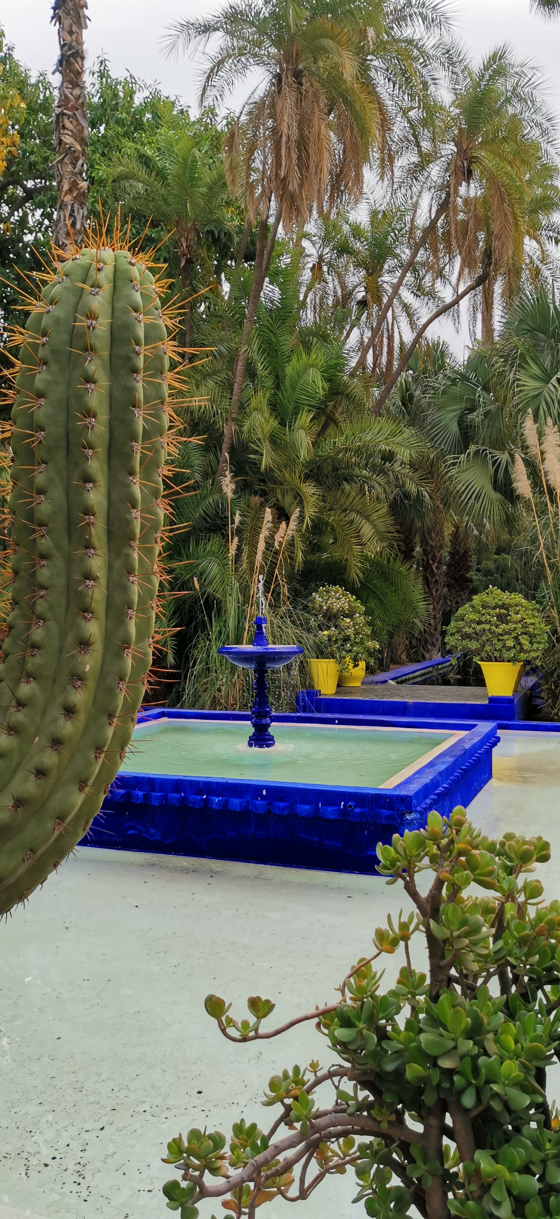 Le-Honor-20-Pro-à-Marrakech-