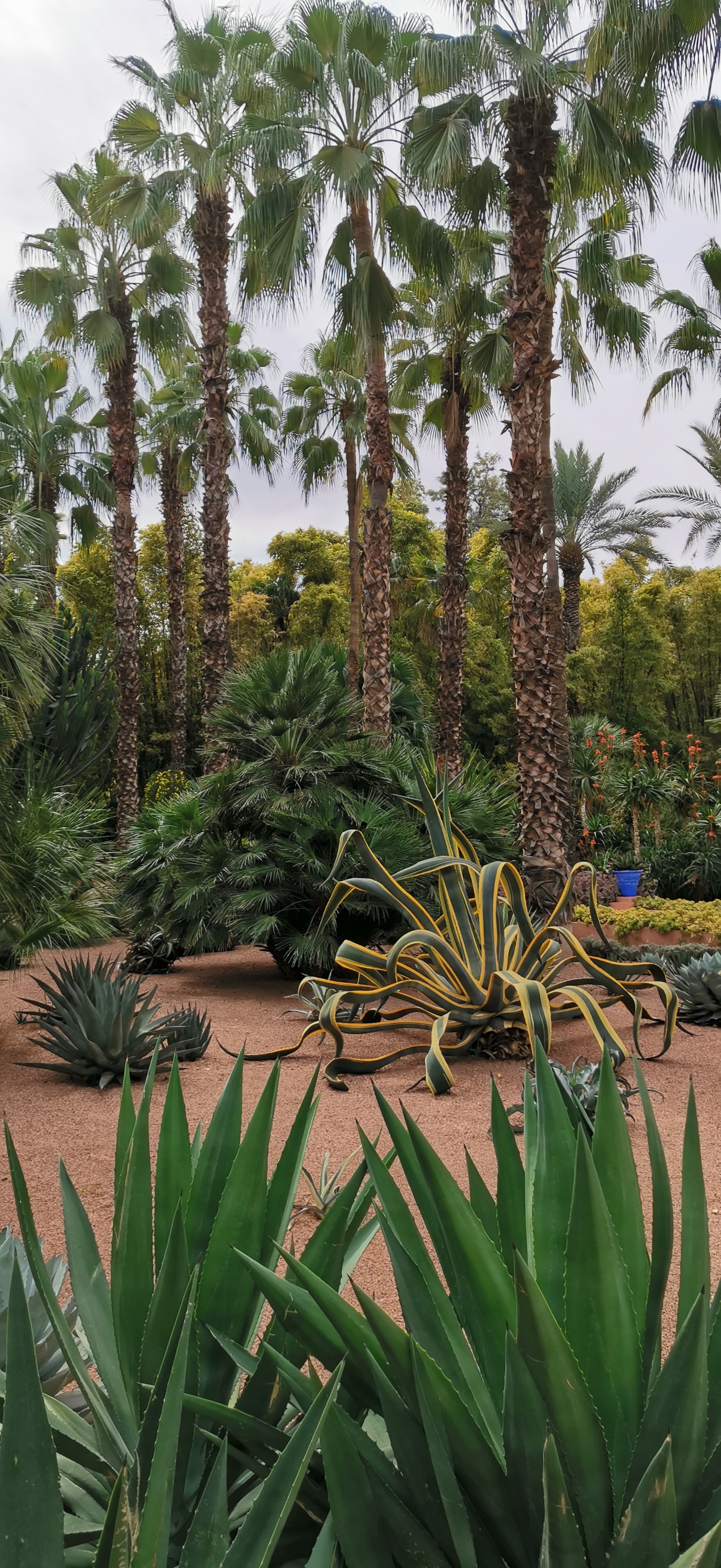 Le-Honor-20-Pro-à-Marrakech-