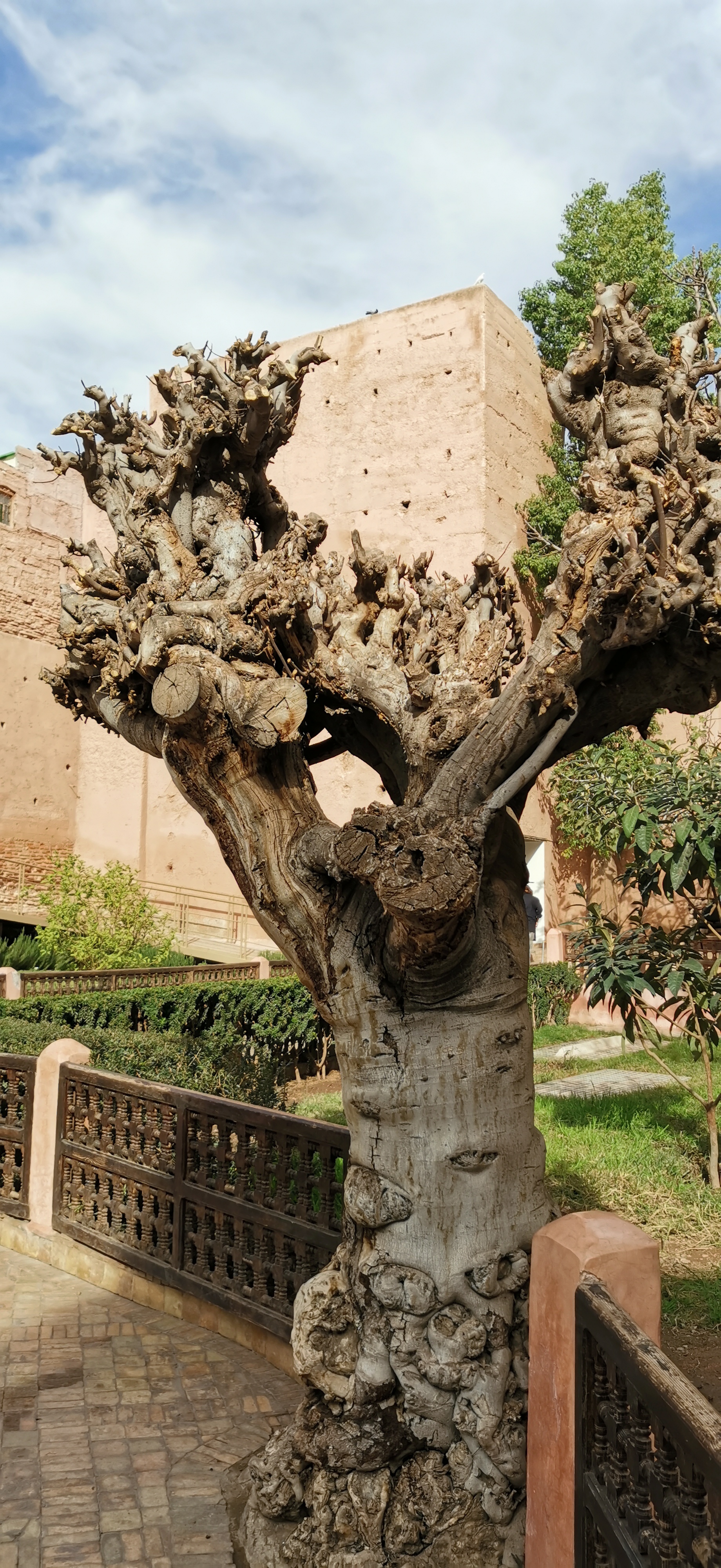 Le-Honor-20-Pro-à-Marrakech-