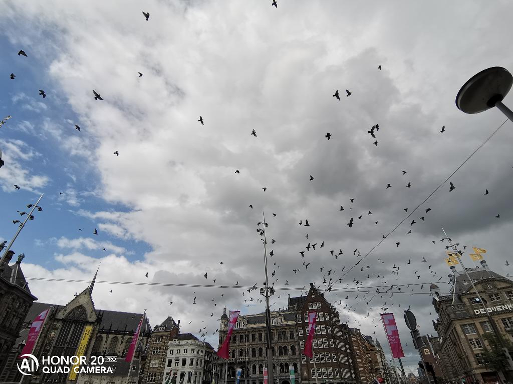 HONOR-20-Pro-Des-photos-dAmsterdam-avec-HONOR-