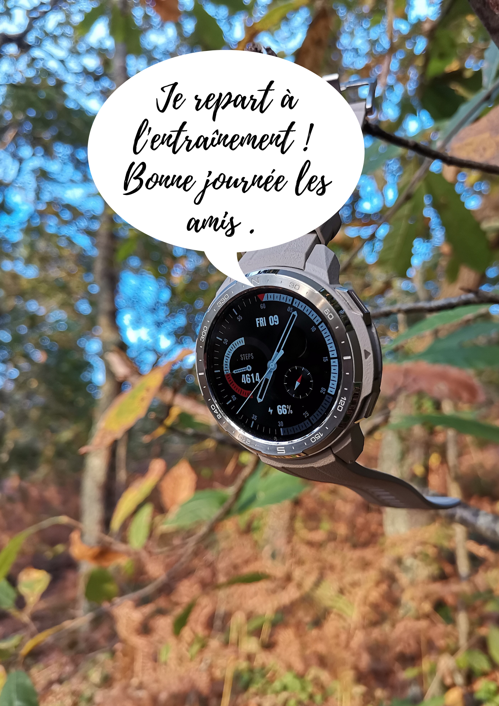 pimg-srchttpsiforum-dechihonorcomfrdataimages20201018df2a813d-b516