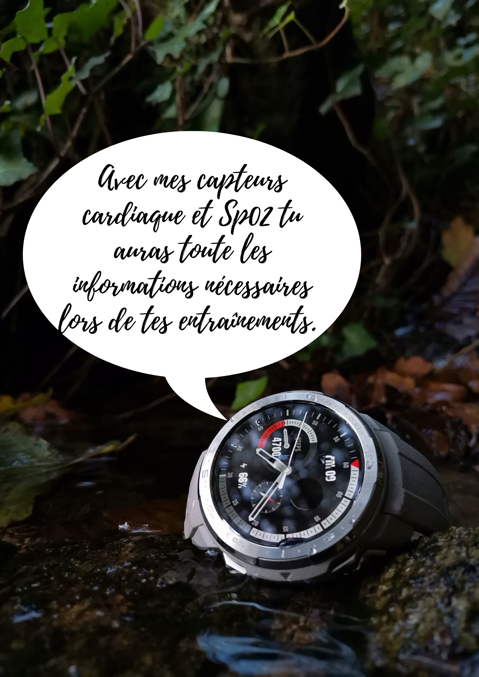 pimg-srchttpsiforum-dechihonorcomfrdataimages20201018df2a813d-b516