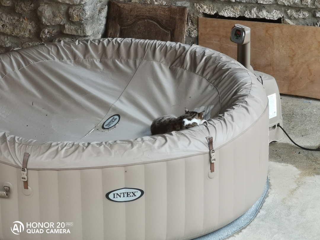 pimg-srchttpsiforum-dechihonorcomfrdataimages2020102955b2df1-dc0e-43b8