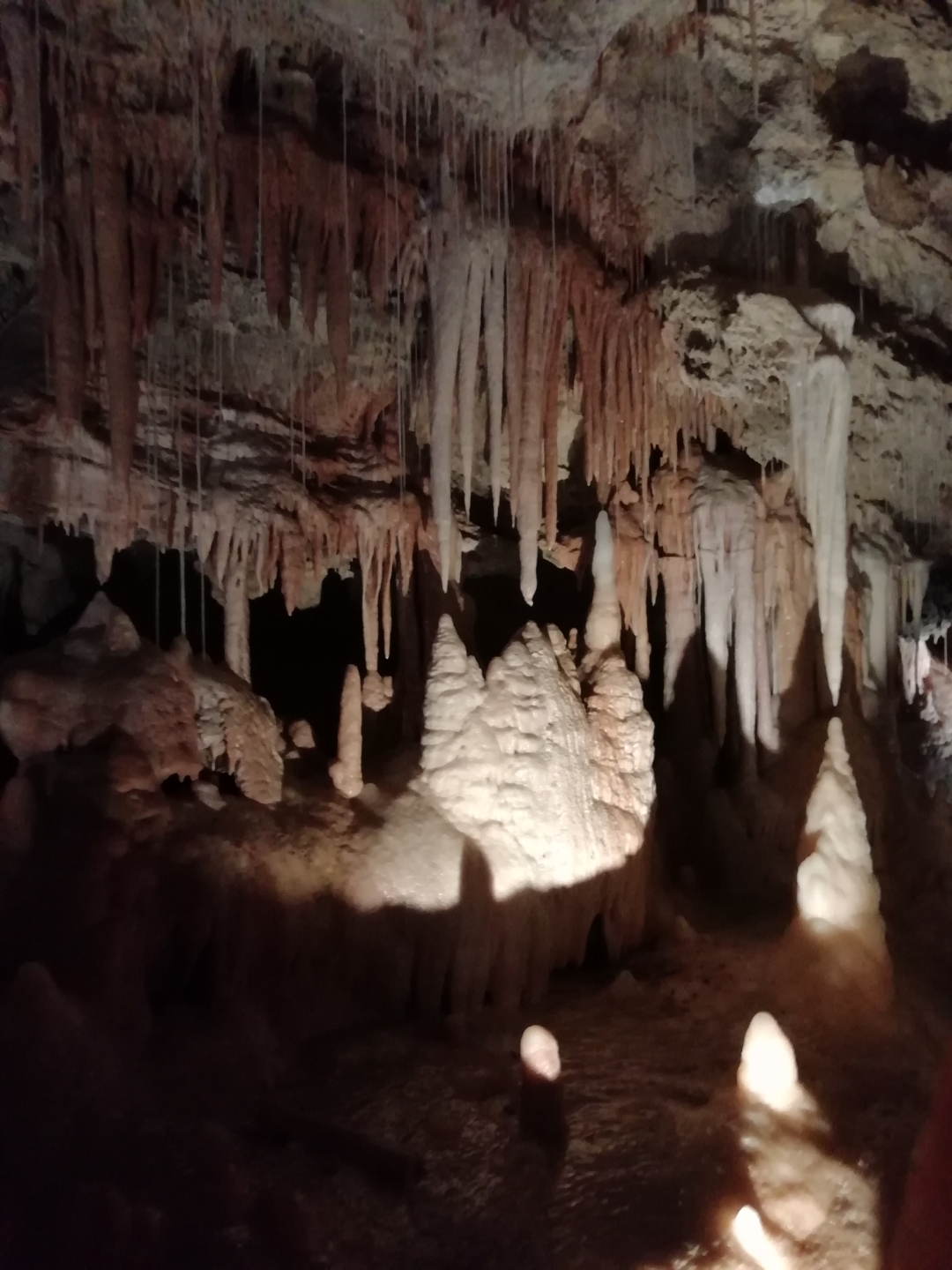 Des-photos-très-correctes-avec-le-Honor-9-Lite