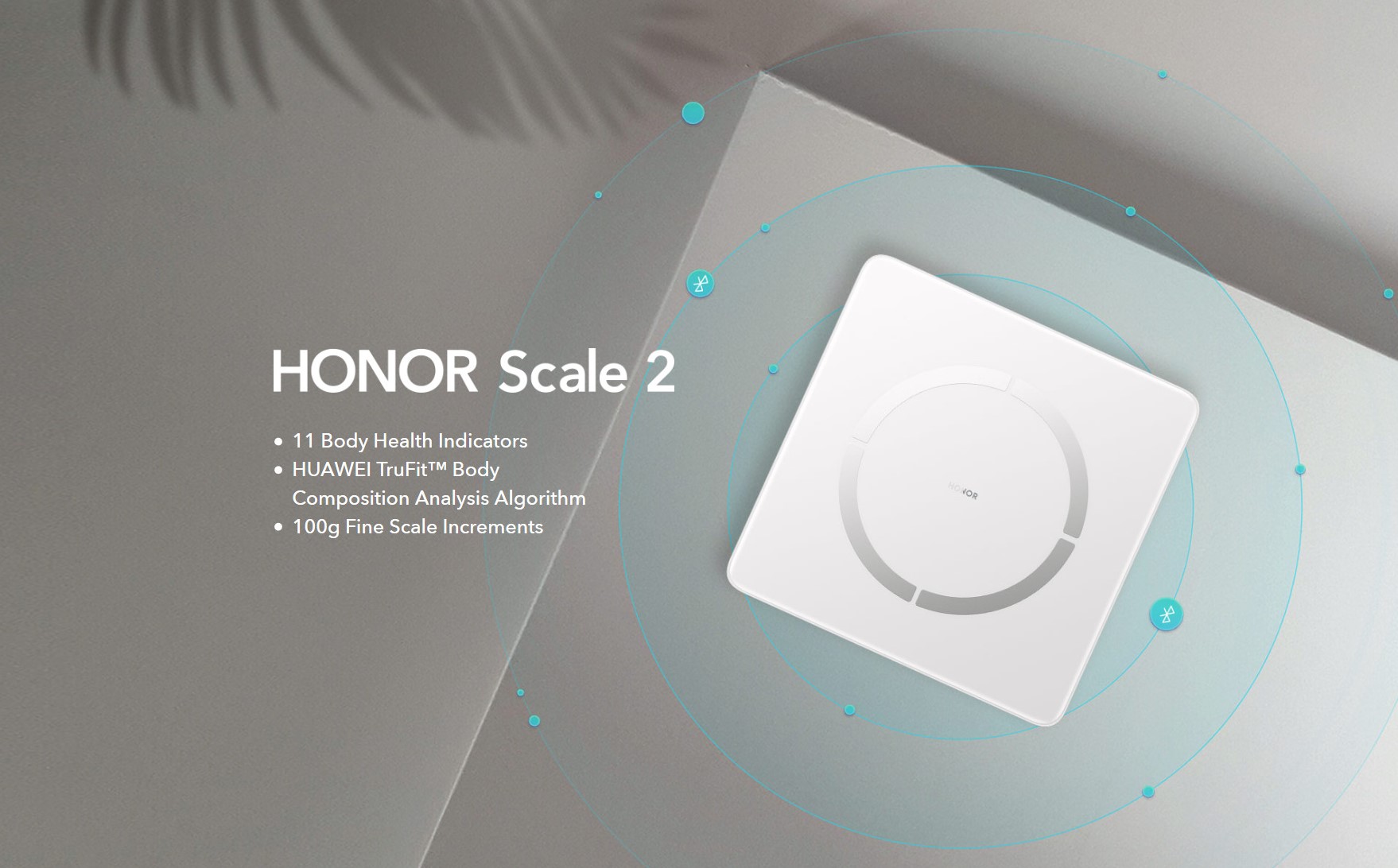 pimg-srchttpsiforum-dechihonorcomfrdataimages20201021ddfe1892-5908