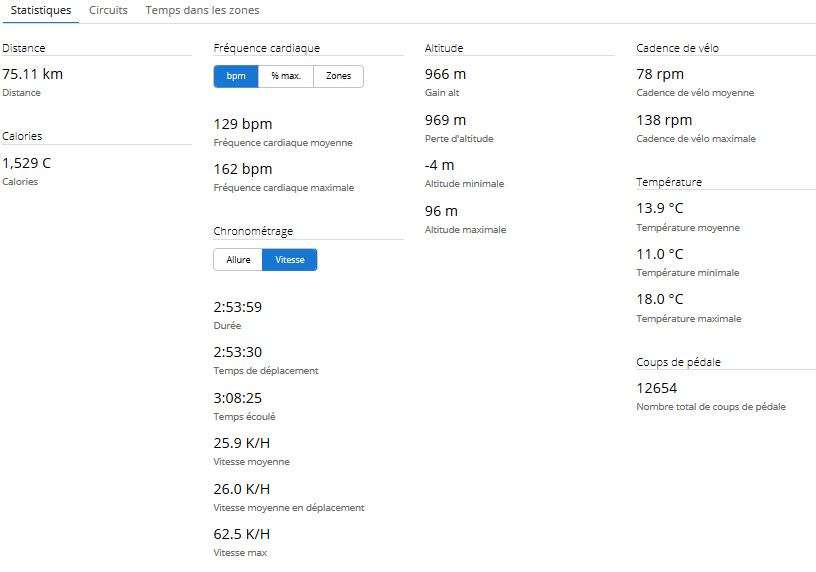 pstrongspanbrspanstrongppstrongspanTest-de-la-Honor-Watch-GS-Pro-en