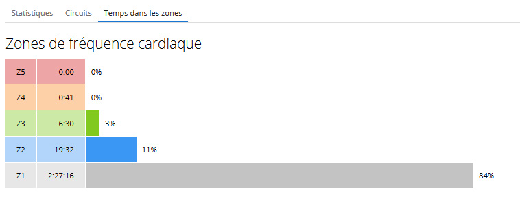 pstrongspanbrspanstrongppstrongspanTest-de-la-Honor-Watch-GS-Pro-en