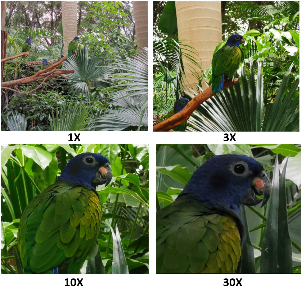 Zoom-Avec-le-HONOR-20-Pro-profitez-de-jusquà-30X-de-zoom-digitale-