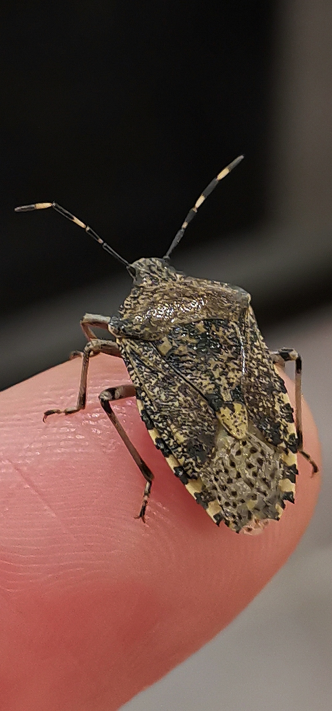 Le-48-Mpx-ça-ne-sert-à-rien-