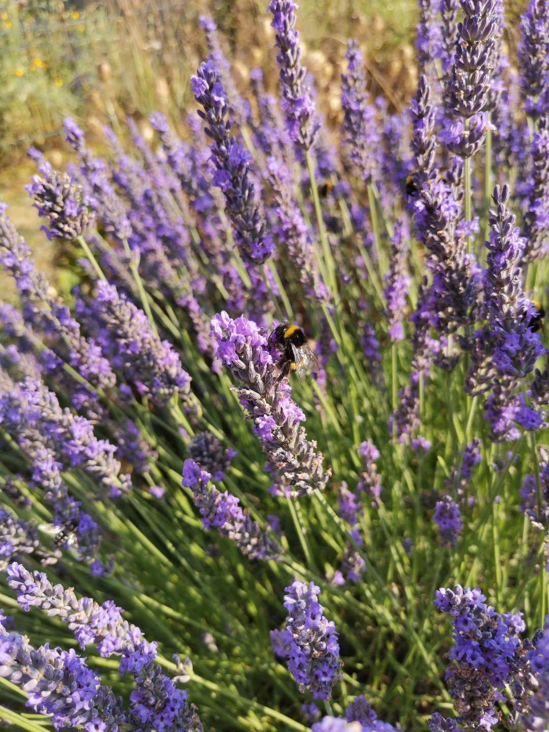 Le-48-Mpx-ça-ne-sert-à-rien-