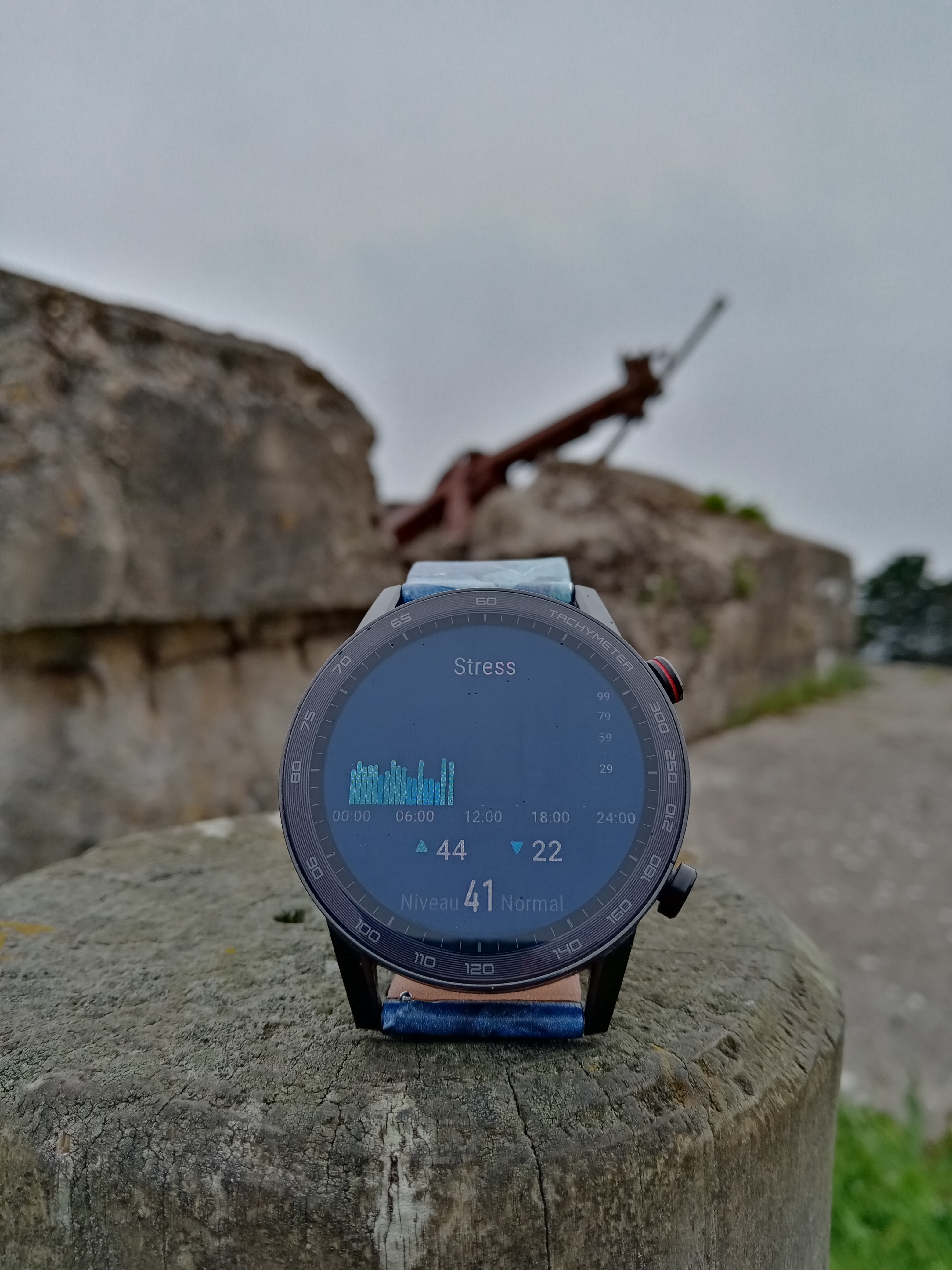 pBonjourppbrppCanon-anti-aérien-Flak-sur-un-Bunkerppbrppimg