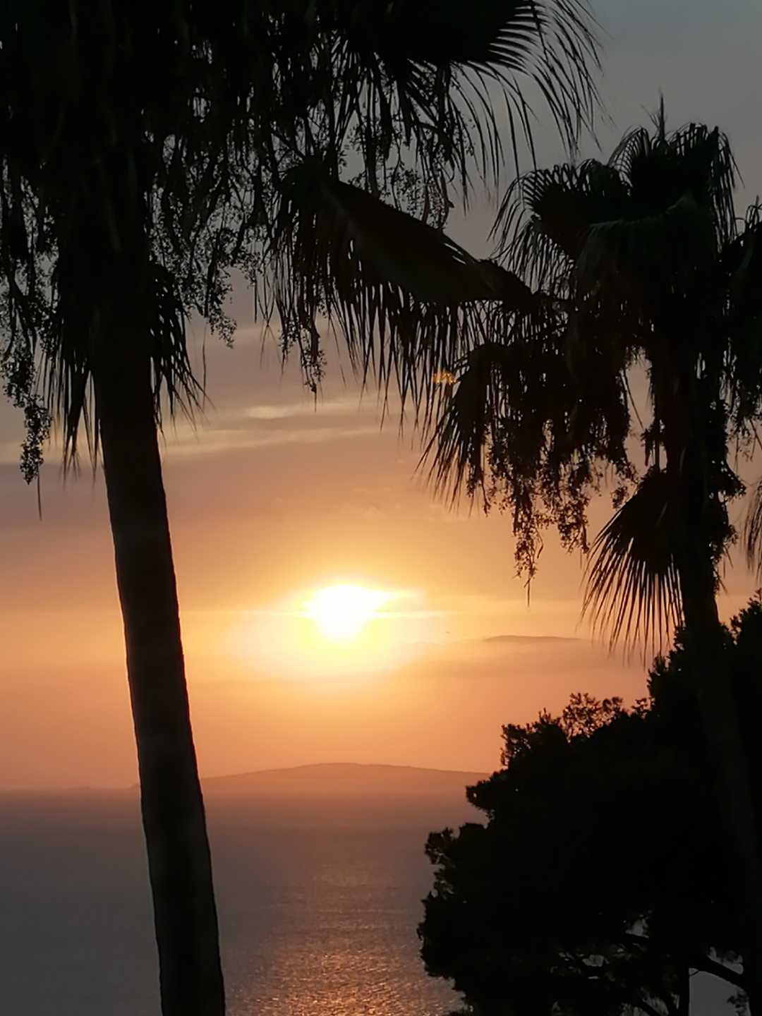 sunshinepalmamallorca