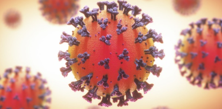 p-styletext-align-centerstrongspanComment-la-Covid-19-affecte-le