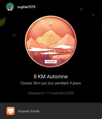 pimg-srchttpsiforum-dechihonorcomfrdataimages20201117e2bf9188-7d4b