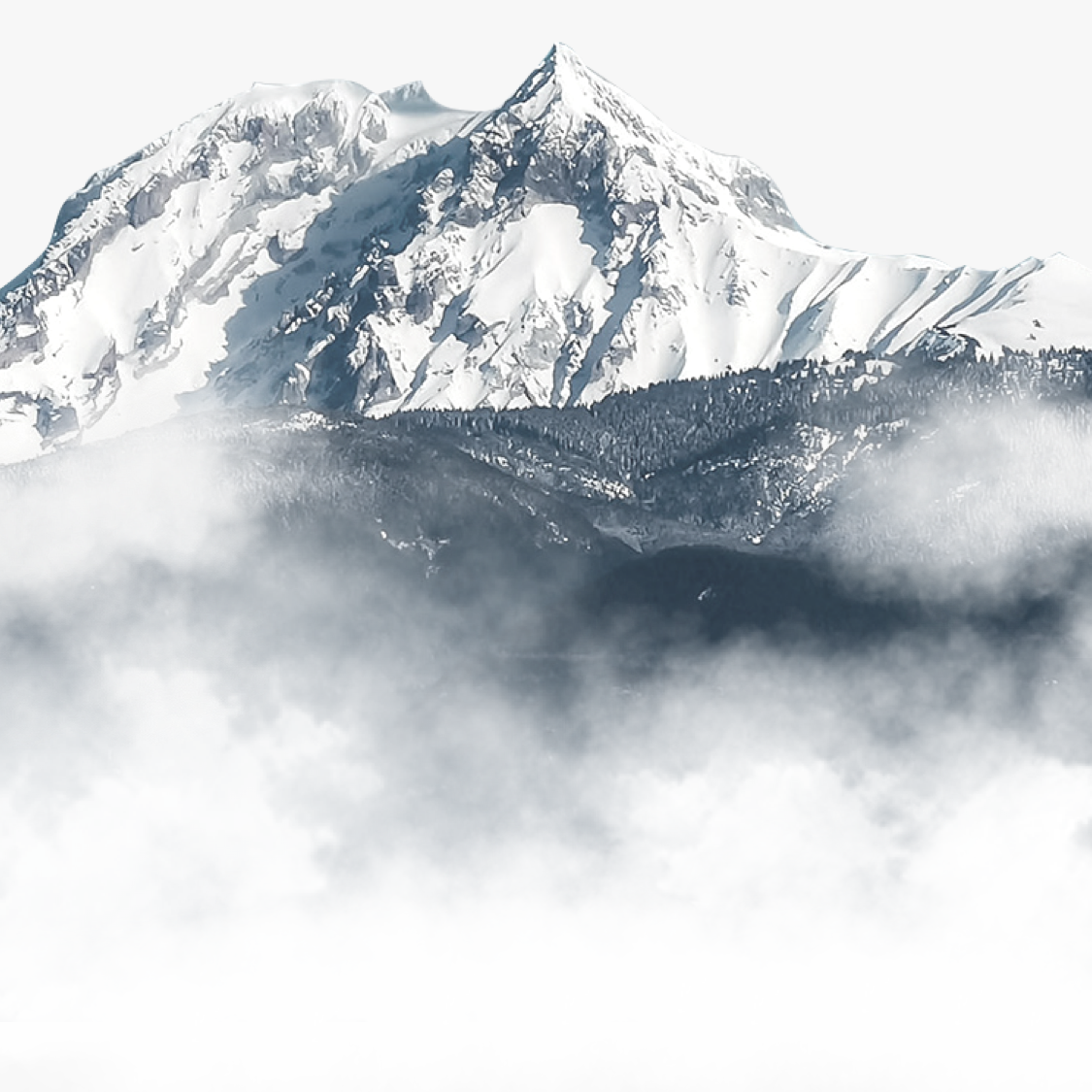 pimg-srchttpsiforum-dechihonorcomfrdataimages2020111885a1da3d-e8dd