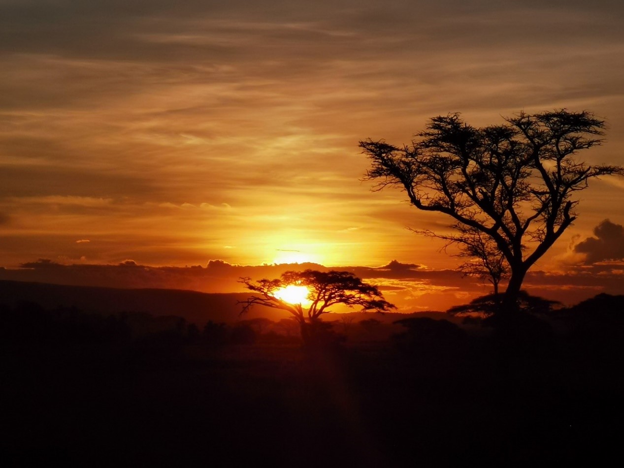 HONOR-20-Pro-Photographie-Smartphone-pour-lordinaire-et