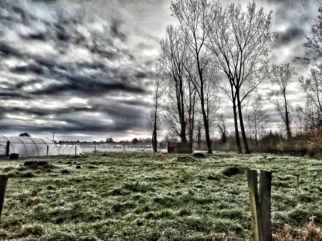 pspanstrong1-leunammestrongspanppspana