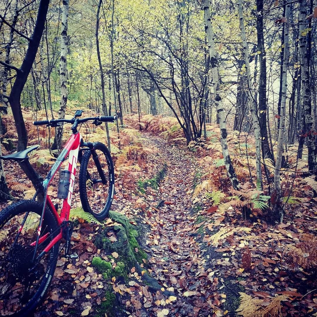 pspanstrong1-leunammestrongspanppspana