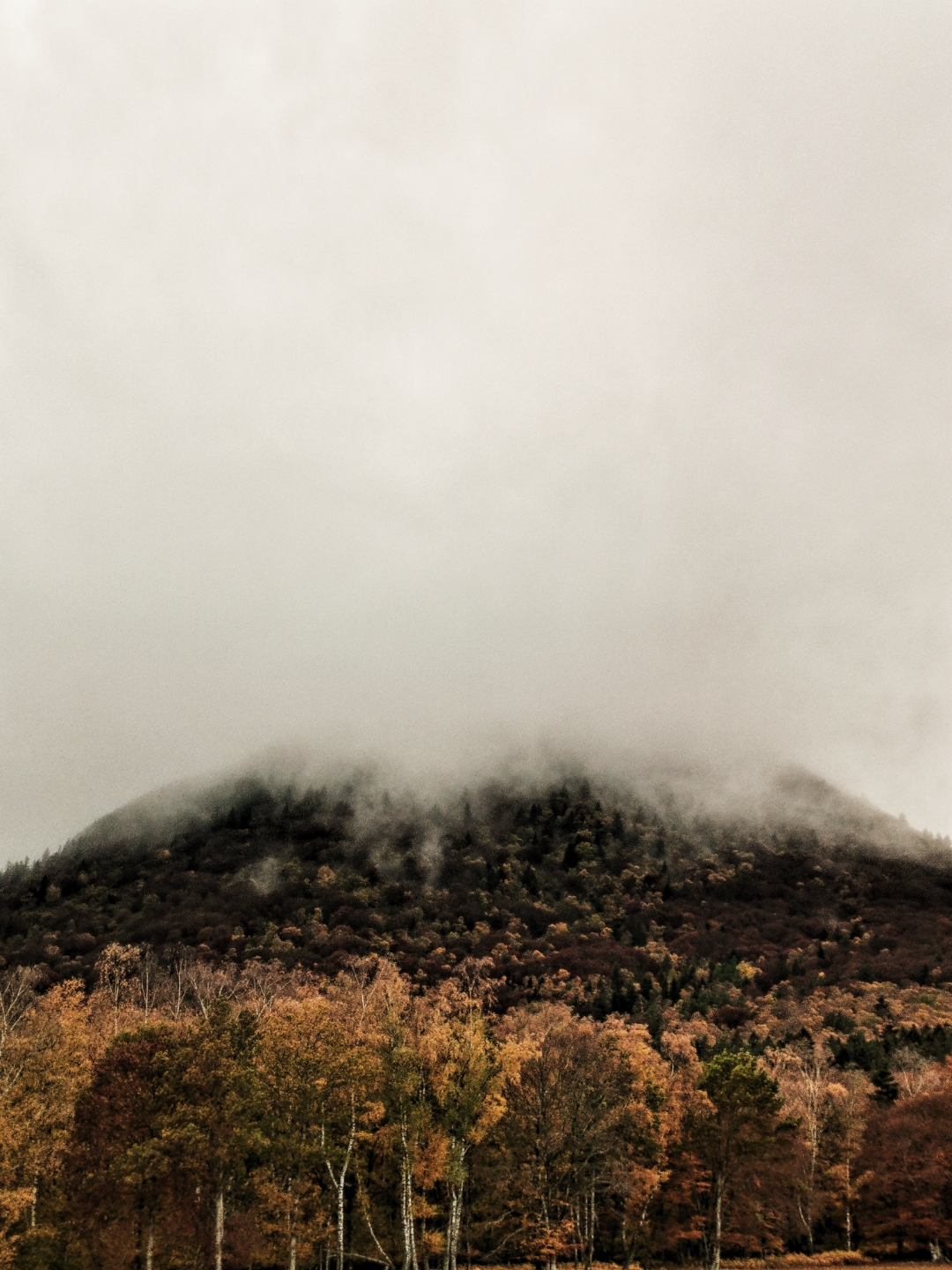 pspanstrong1-leunammestrongspanppspana