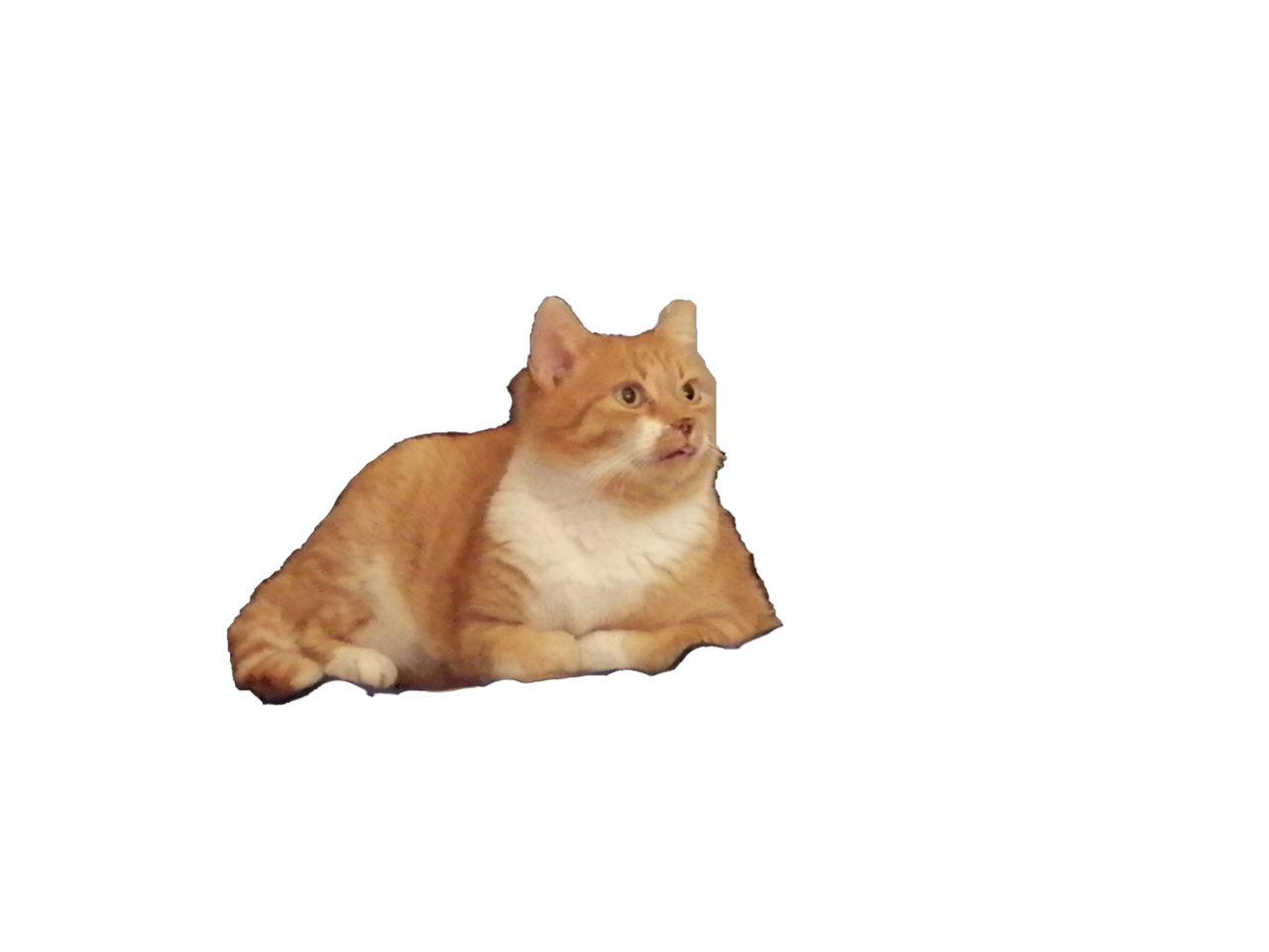 Quelques-questions-sur-le-Honor10lite