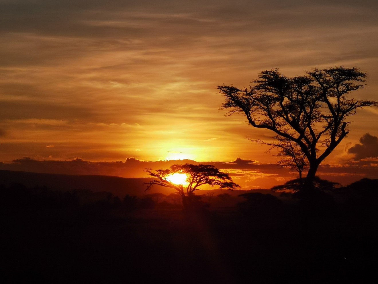 HONOR-20-Pro-La-technologie-de-stabilisation-dimage-de-HONOR-expliquée
