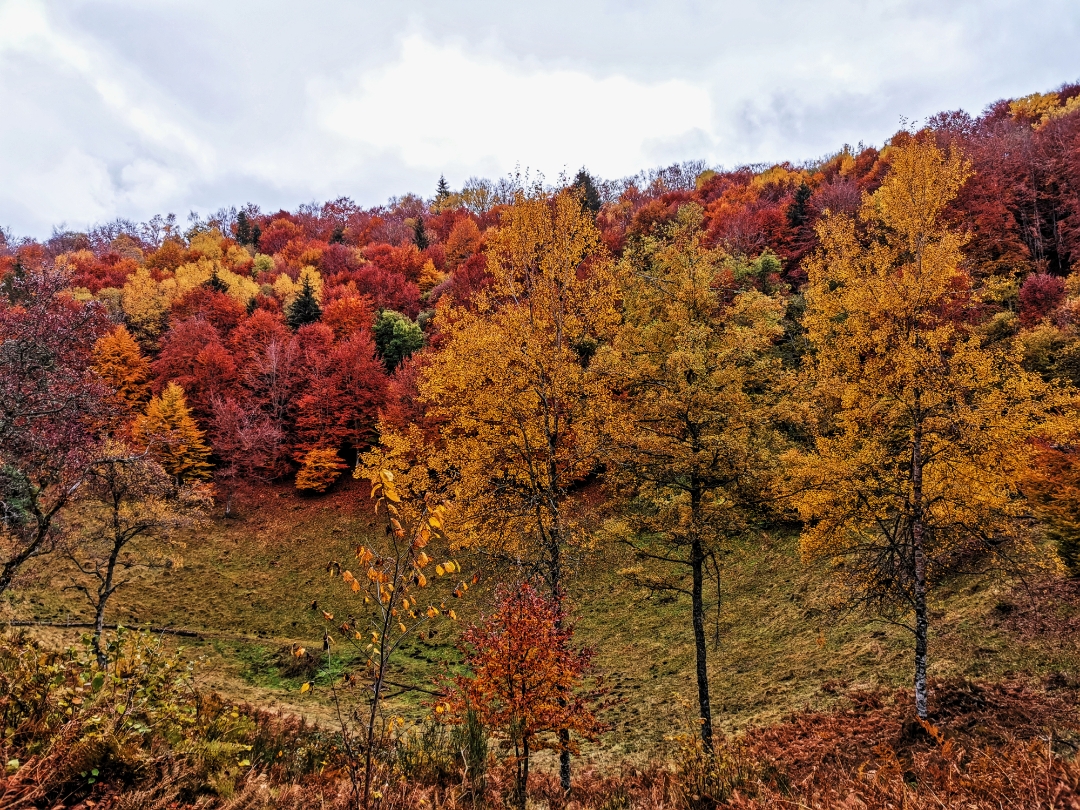 pspanBonjour-HONOR-fans-voici-la-collection-des-photos-de-la-semaine