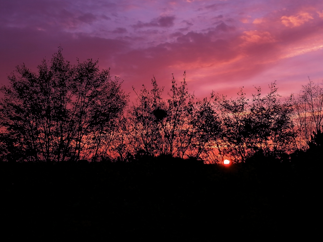 pspanBonjour-HONOR-fans-voici-la-collection-des-photos-de-la-semaine