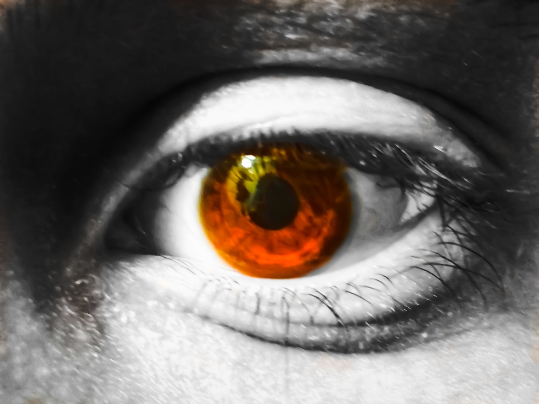 pspanBonjour-HONOR-fans-voici-la-collection-des-photos-de-la-semaine