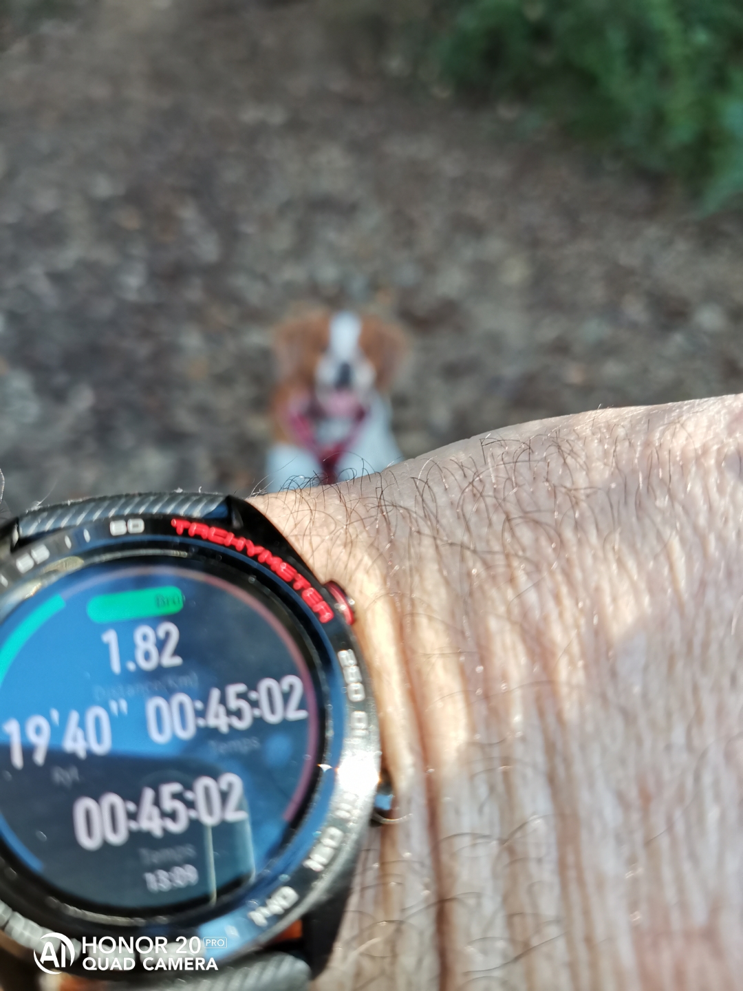 pimg-srchttpsiforum-dechihonorcomfrdataimages20201213eaab4fa9-5785